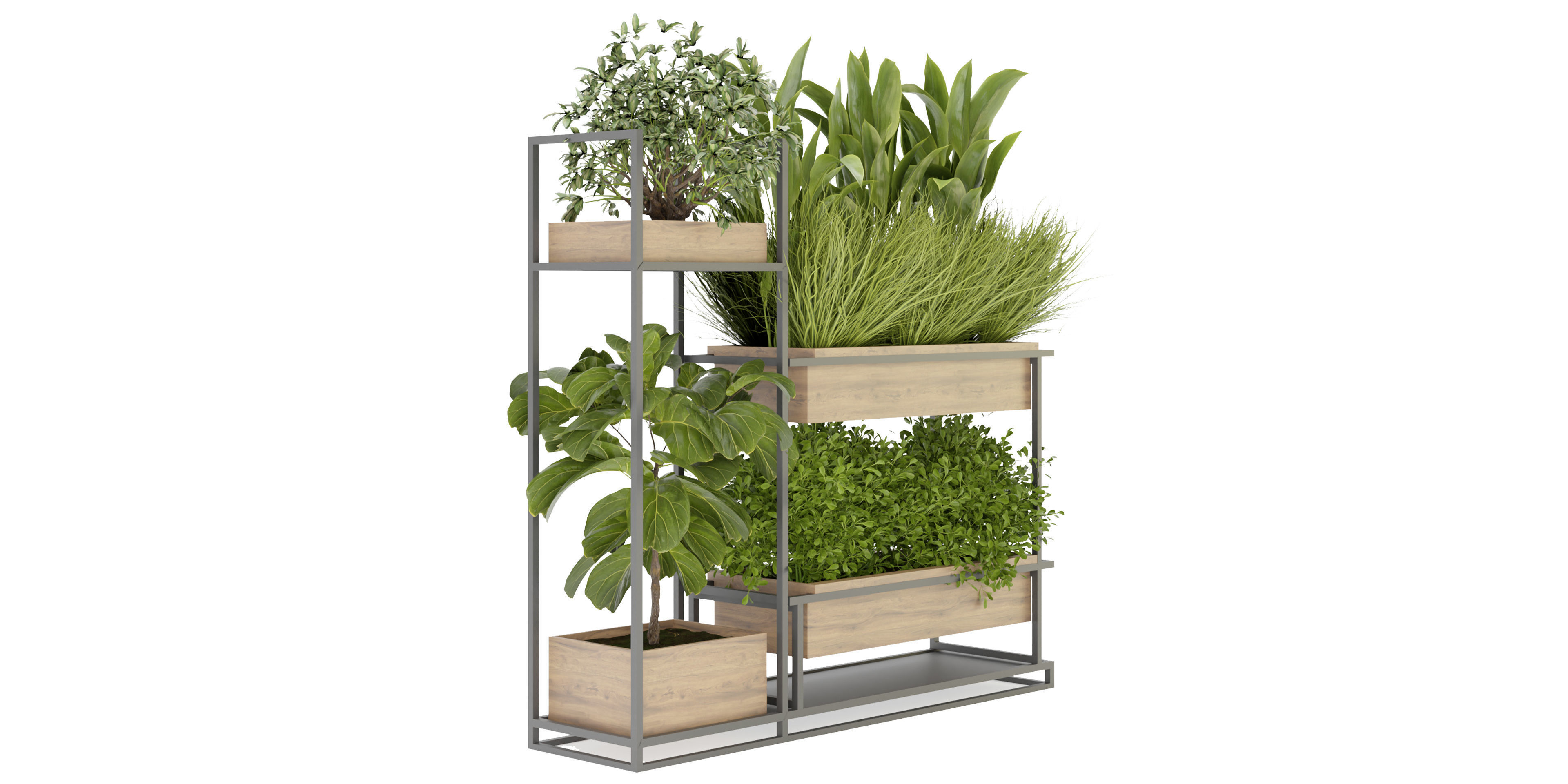 Collection plant vol 296 - blender model  3D model_5