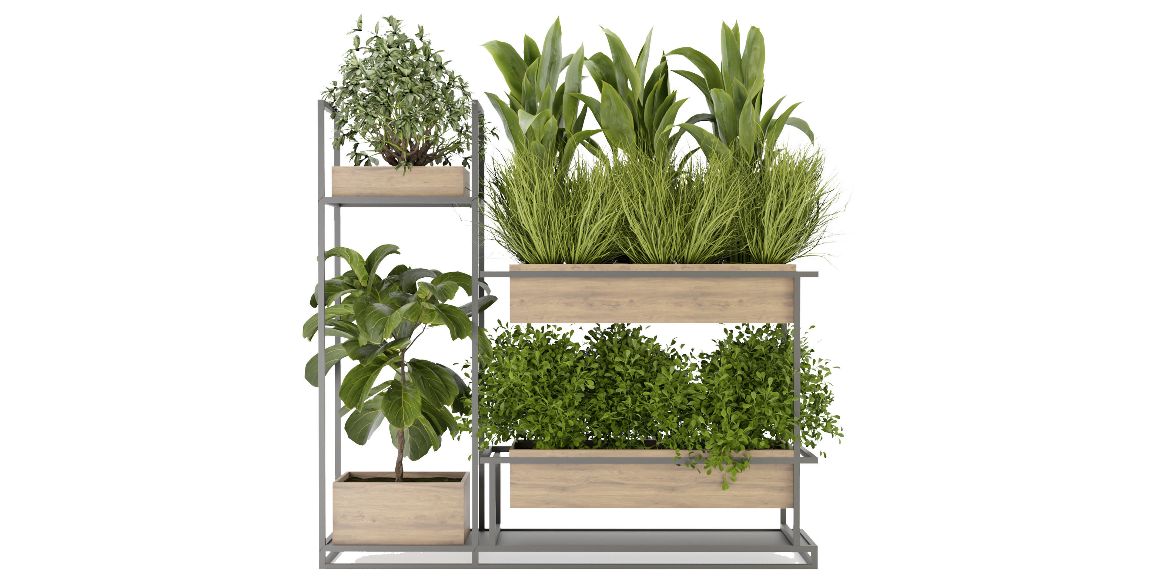 Collection plant vol 296 - blender model  3D model_1