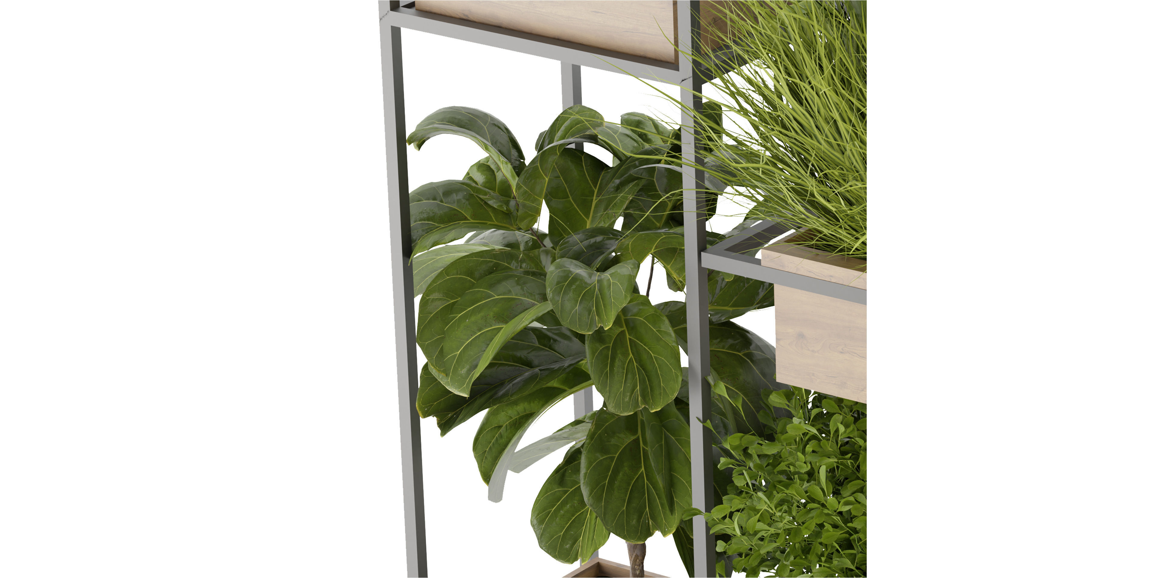 Collection plant vol 296 - blender model  3D model_4