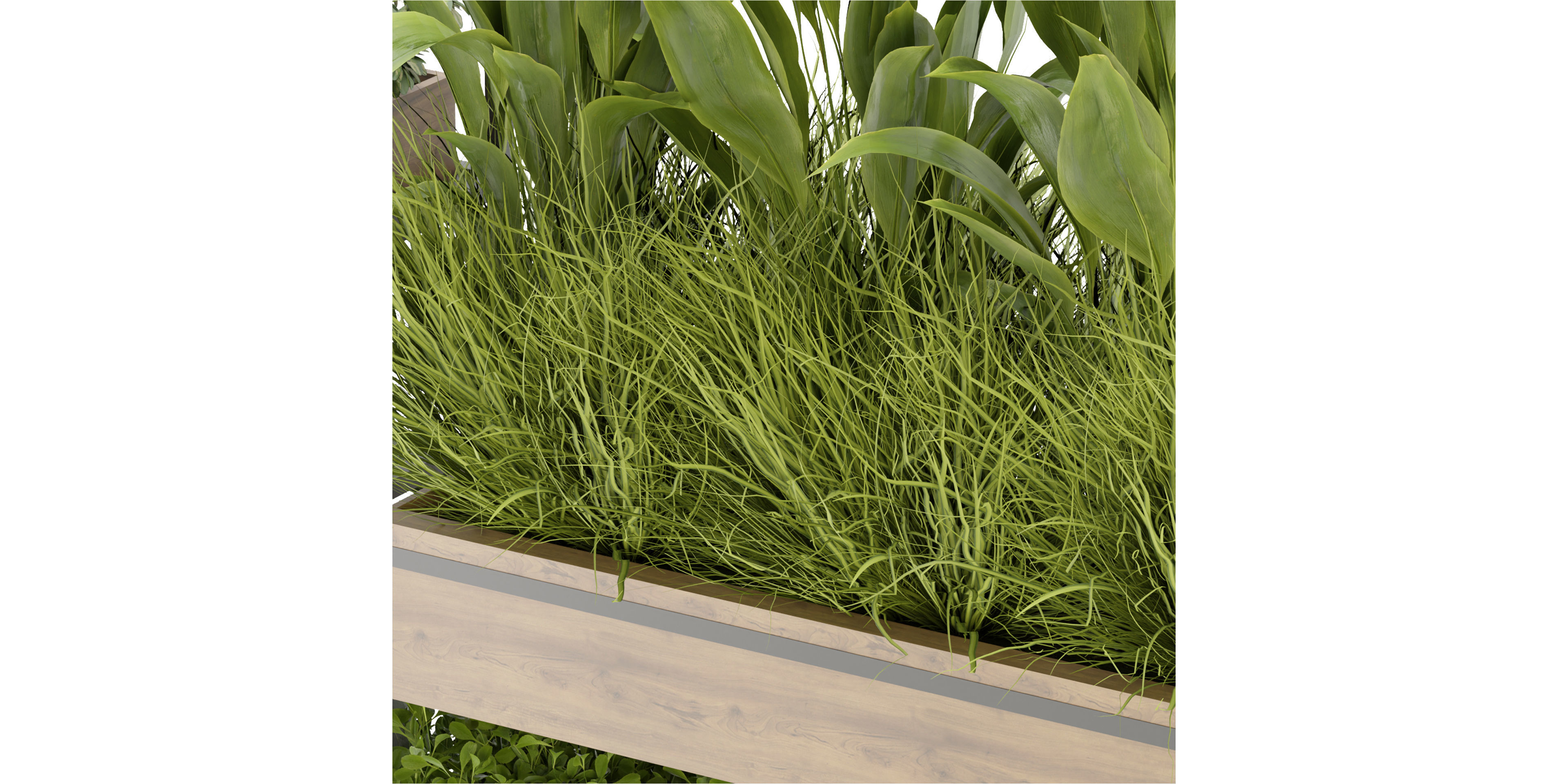 Collection plant vol 296 - blender model  3D model_3