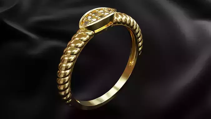 Pigtail ring  3D print model
