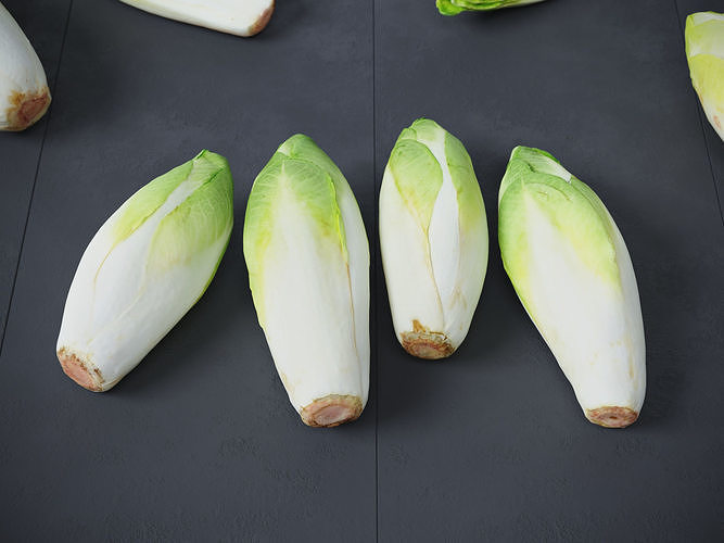 Belgian Endive  3D model 4