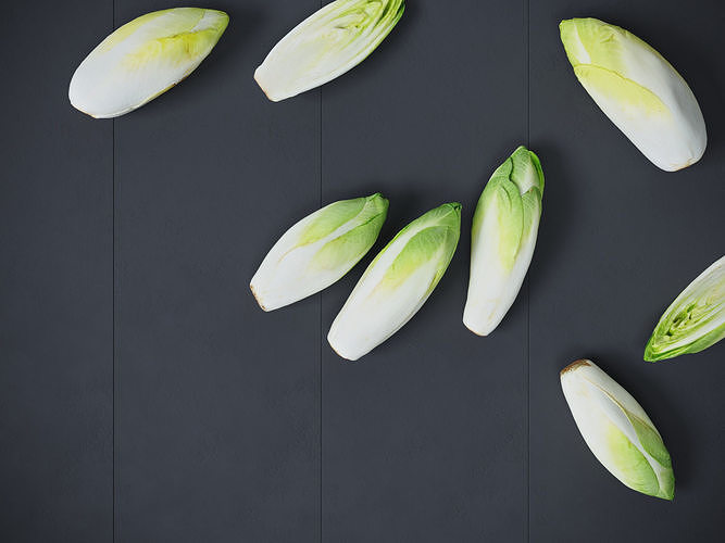 Belgian Endive  3D model 5