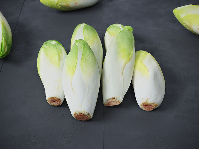 Belgian Endive  3D model 3
