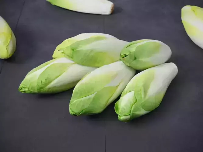Belgian Endive  3D model
