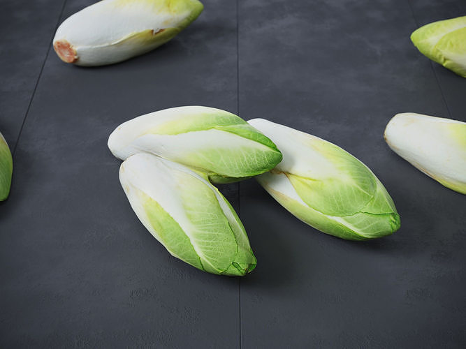 Belgian Endive  3D model 2