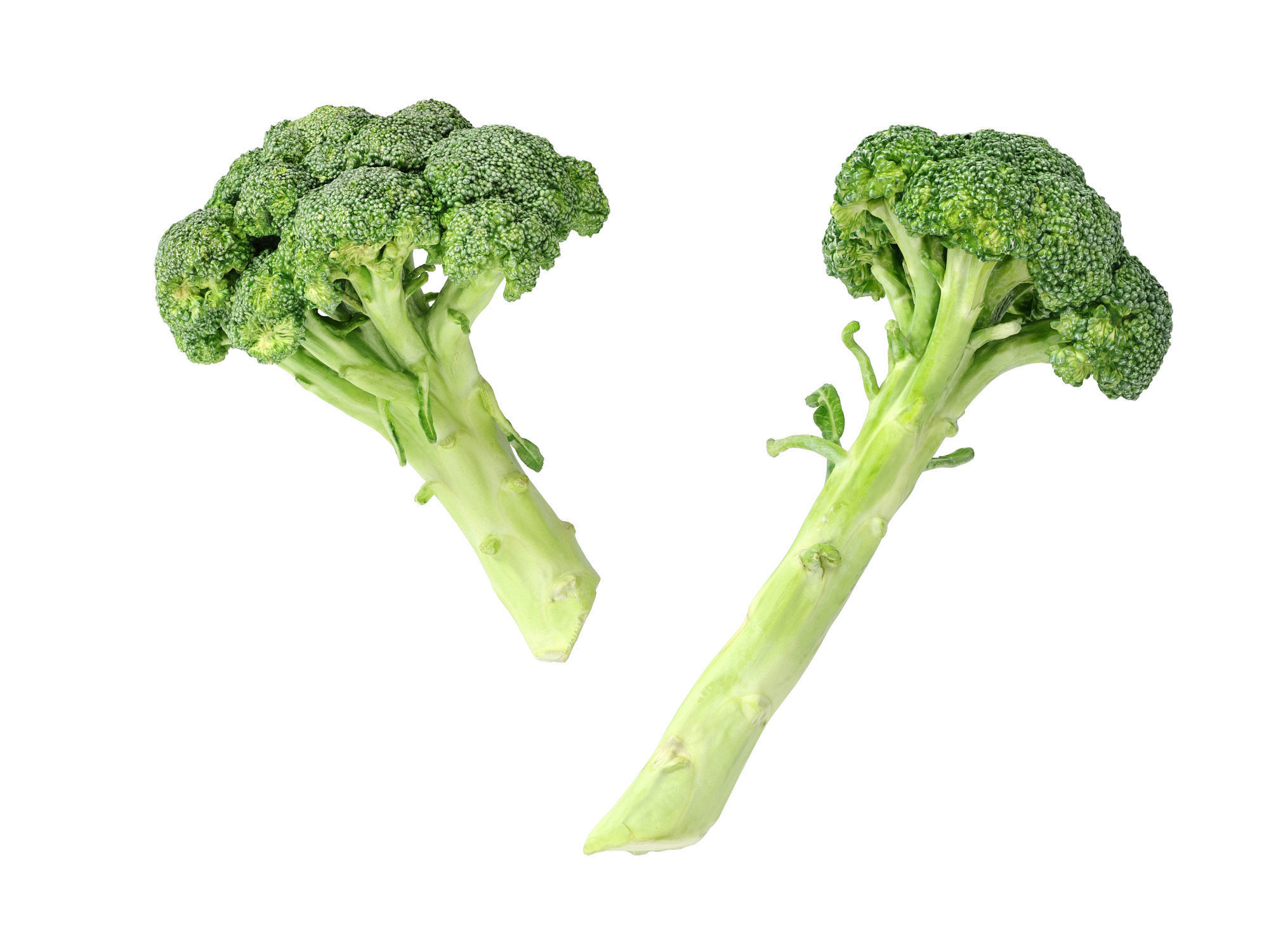 Broccoli Bunch 3D model_6