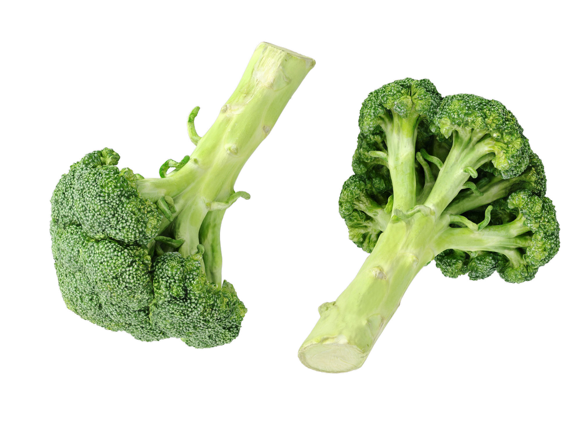 Broccoli Bunch 3D model_7