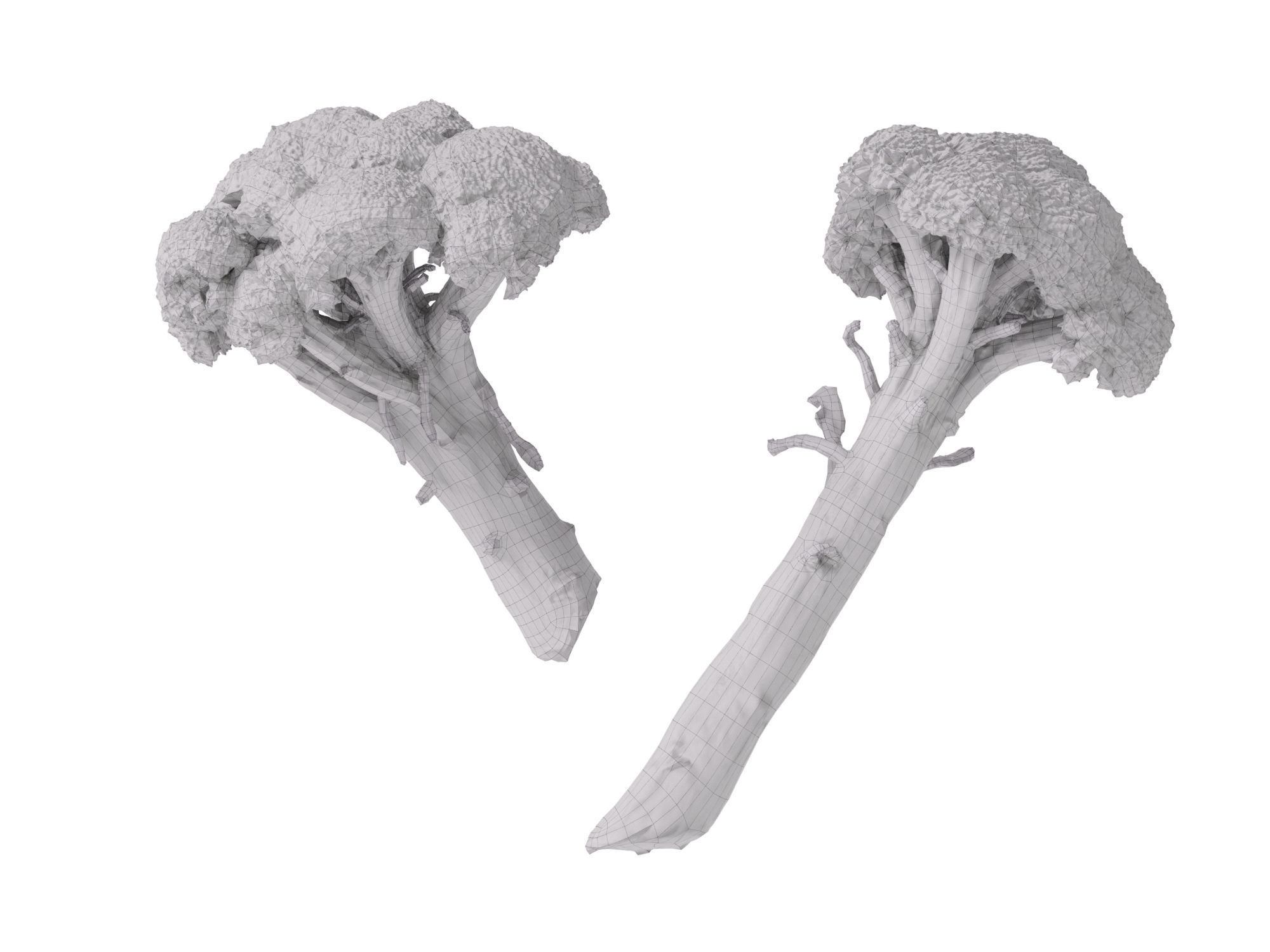 Broccoli Bunch 3D model_10