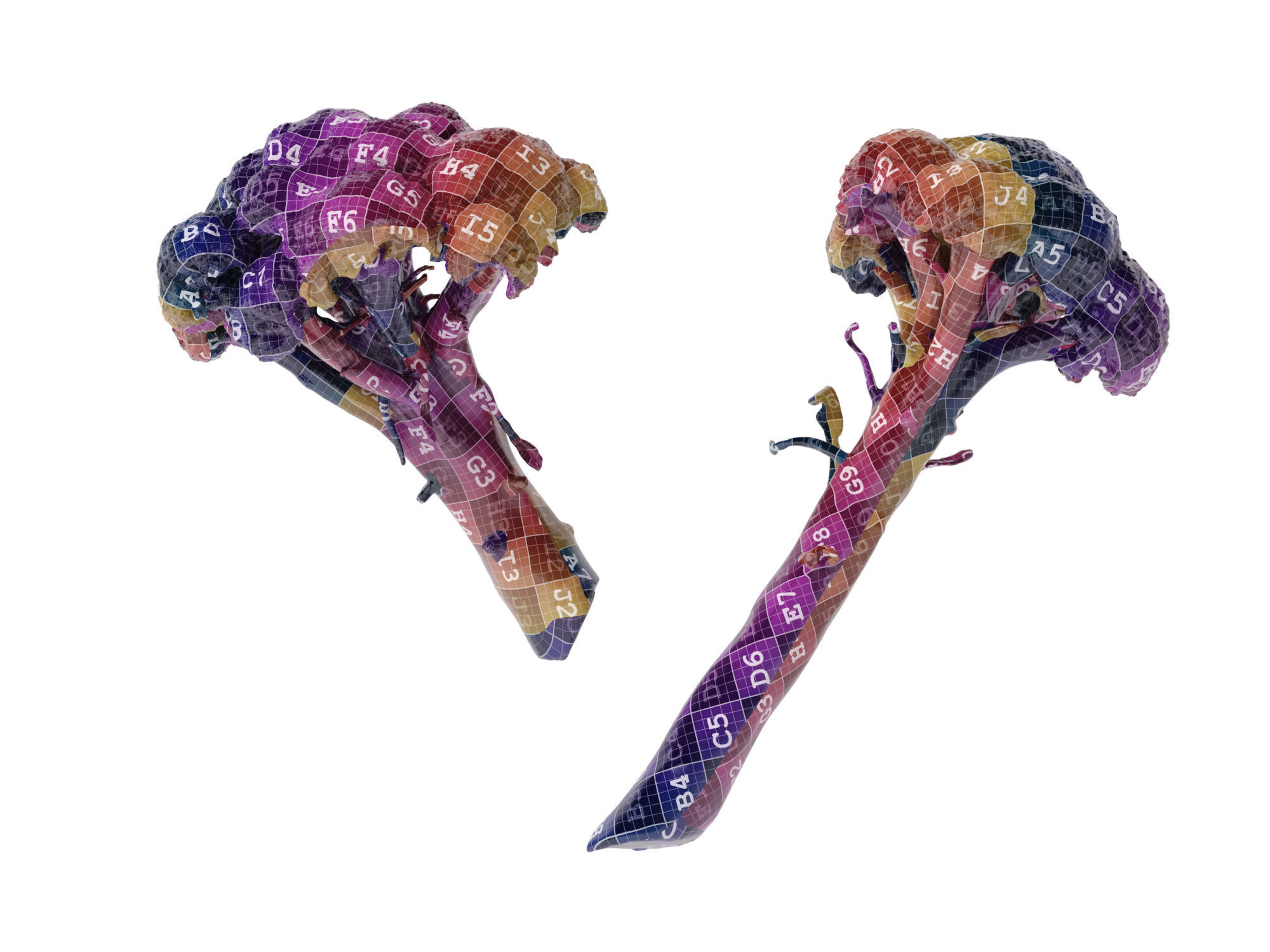 Broccoli Bunch 3D model_12