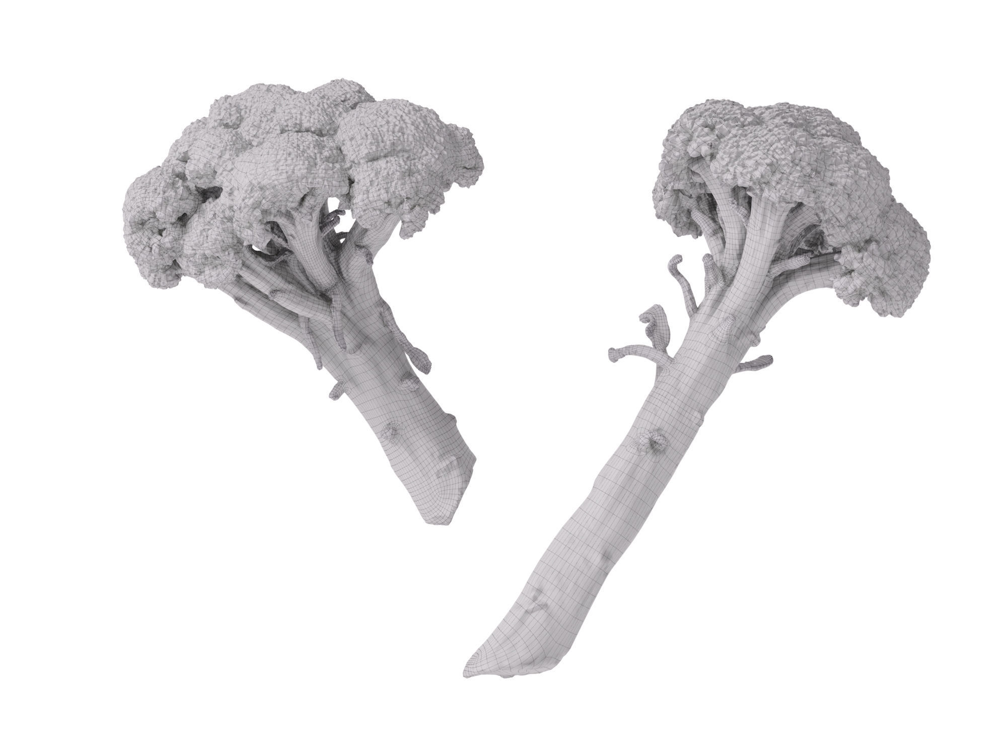 Broccoli Bunch 3D model_11