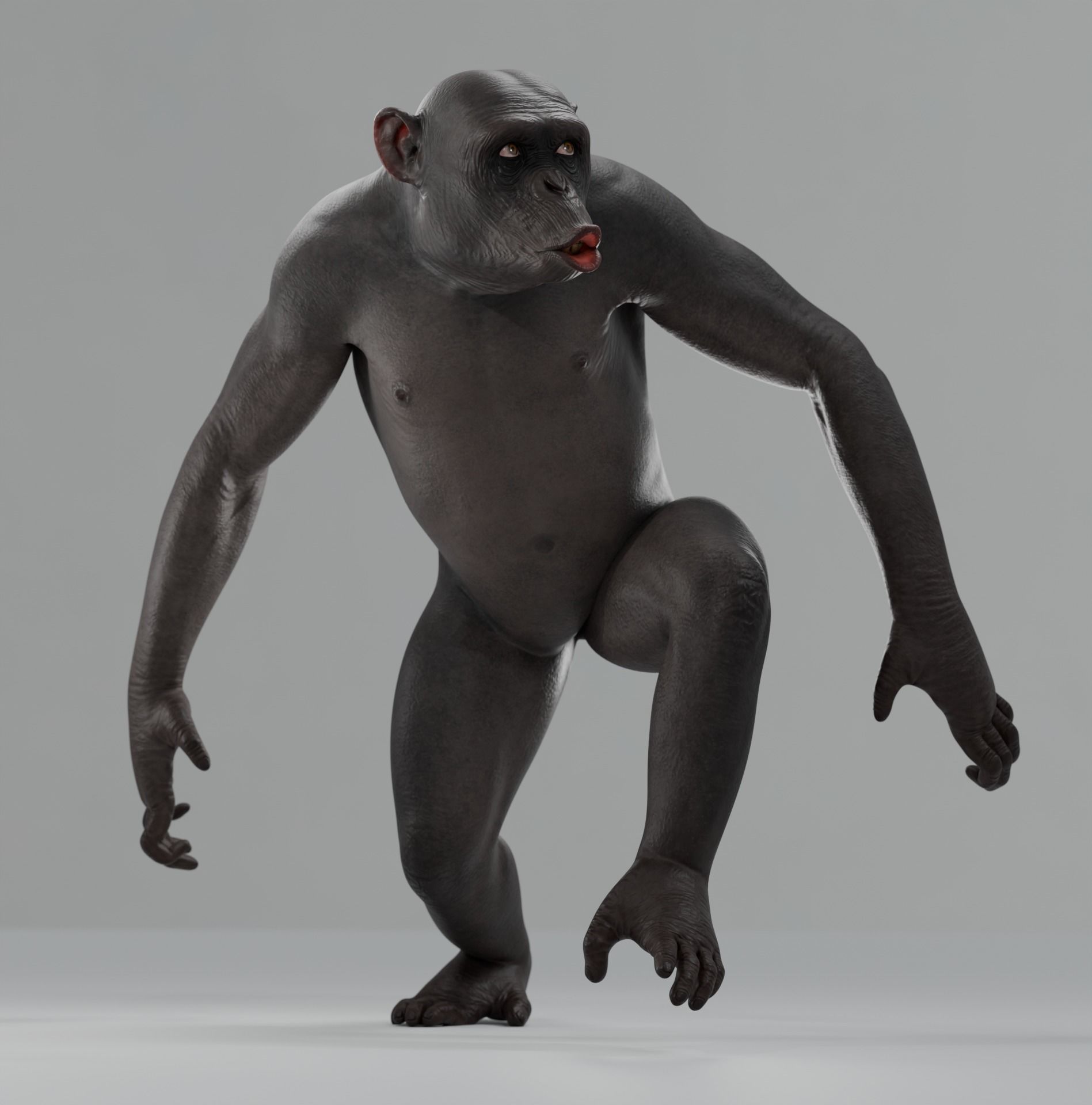 Rigged Hairless Chimpanzee Low-poly 3D model Low-poly 3D model_7