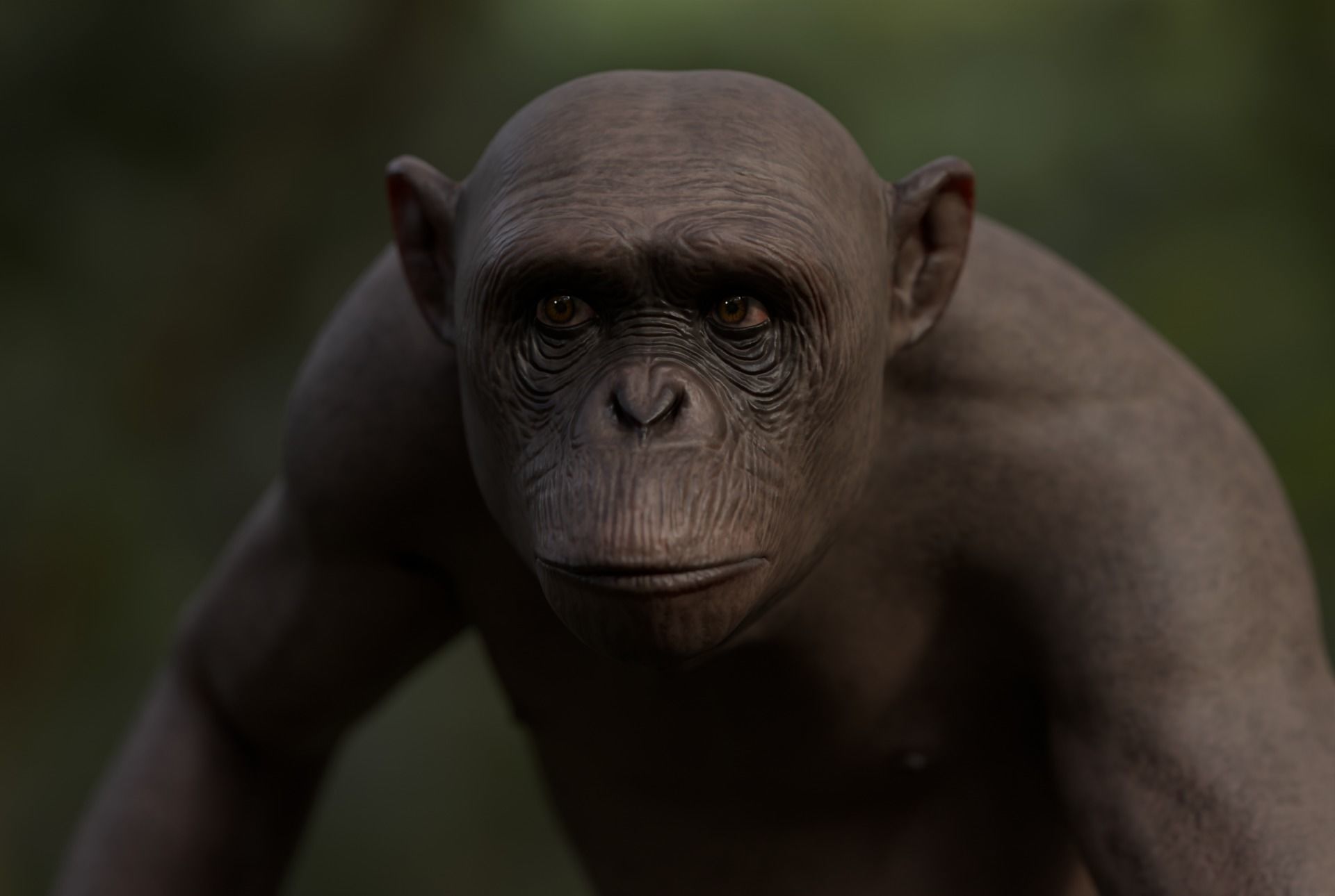 Rigged Hairless Chimpanzee Low-poly 3D model Low-poly 3D model_4