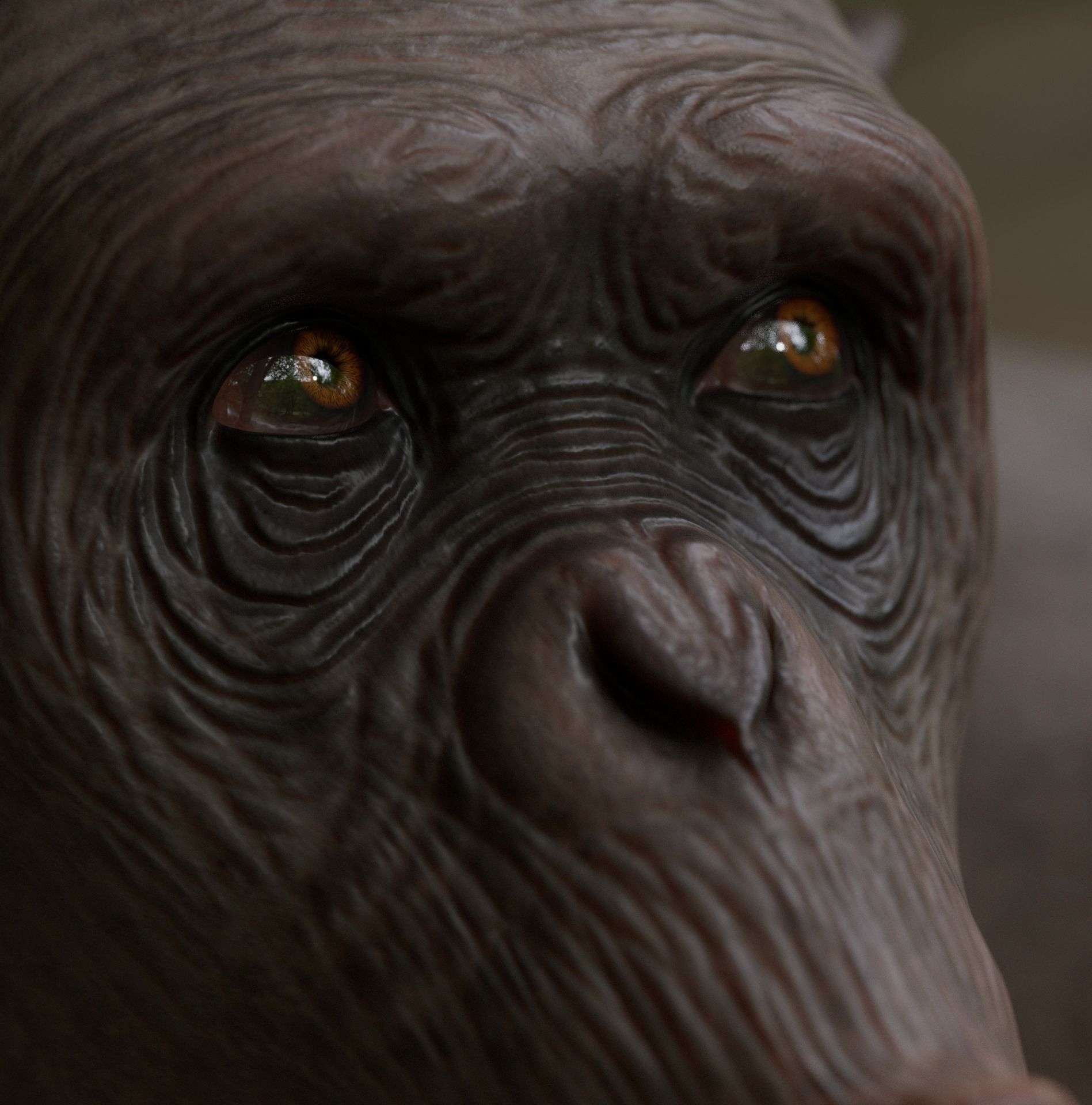 Rigged Hairless Chimpanzee Low-poly 3D model Low-poly 3D model_11