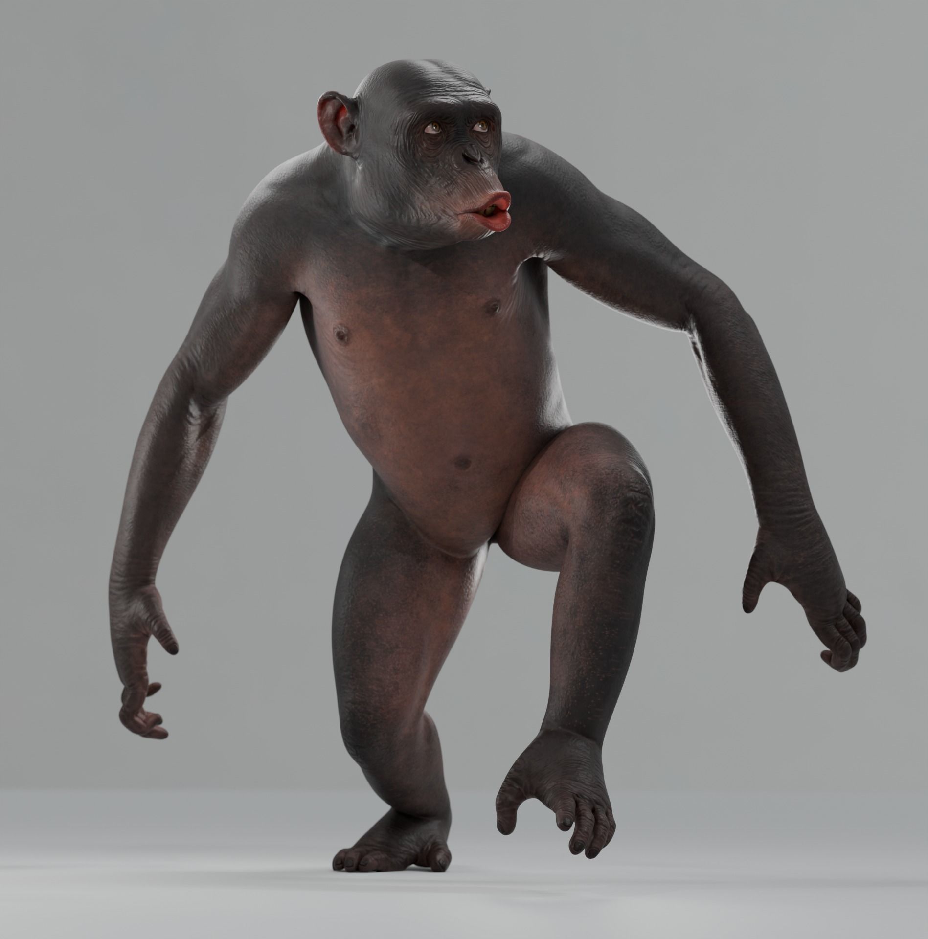 Rigged Hairless Chimpanzee Low-poly 3D model Low-poly 3D model_9