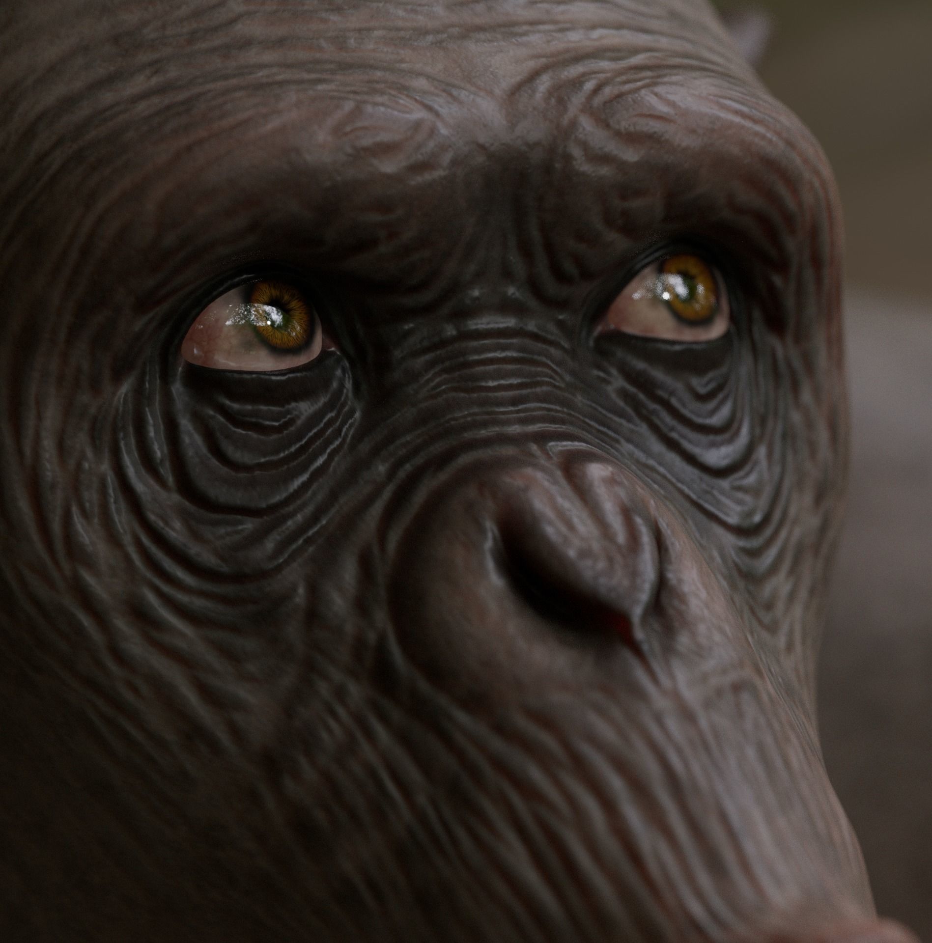 Rigged Hairless Chimpanzee Low-poly 3D model Low-poly 3D model_10