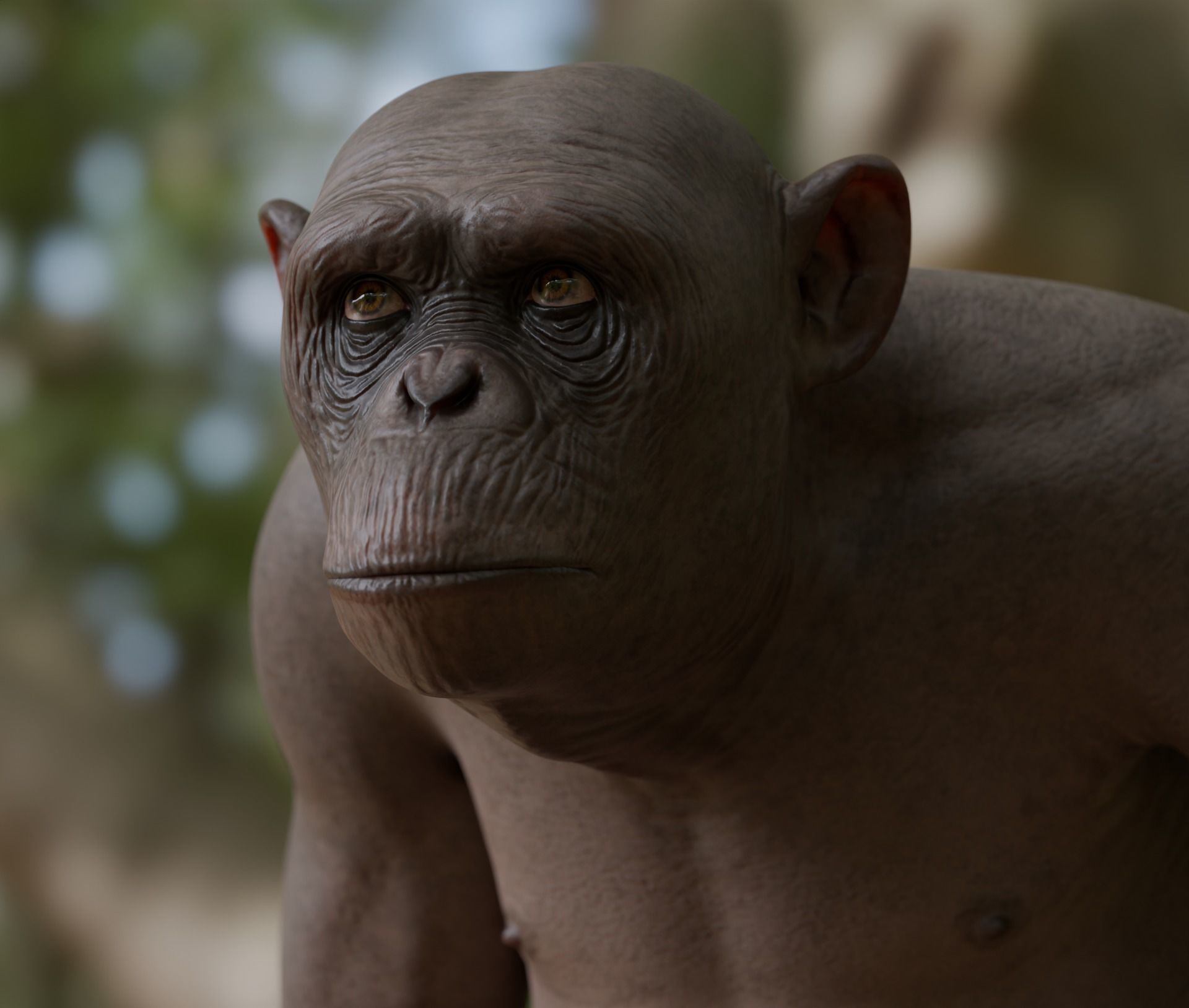 Rigged Hairless Chimpanzee Low-poly 3D model Low-poly 3D model_2
