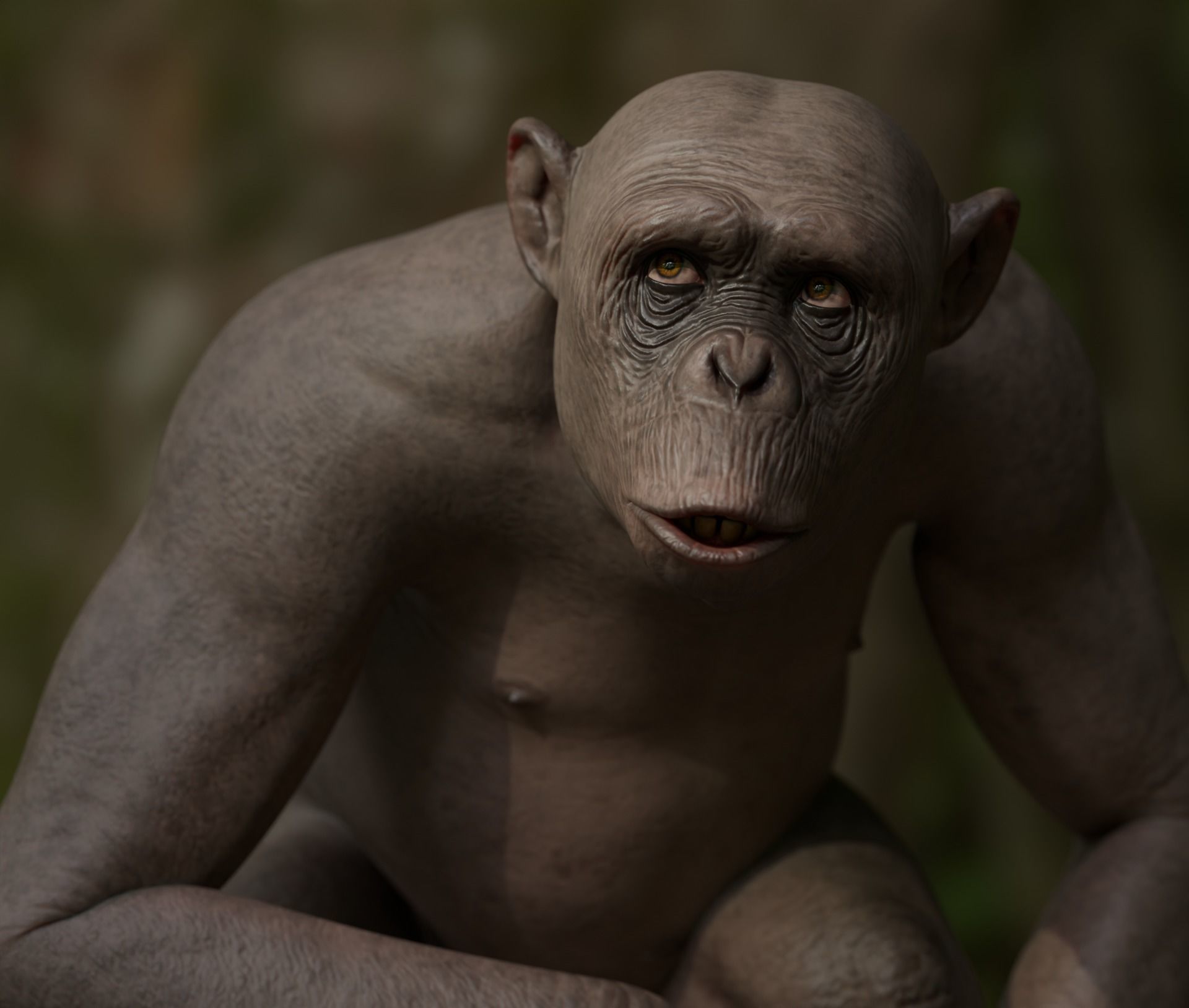 Rigged Hairless Chimpanzee Low-poly 3D model Low-poly 3D model_1