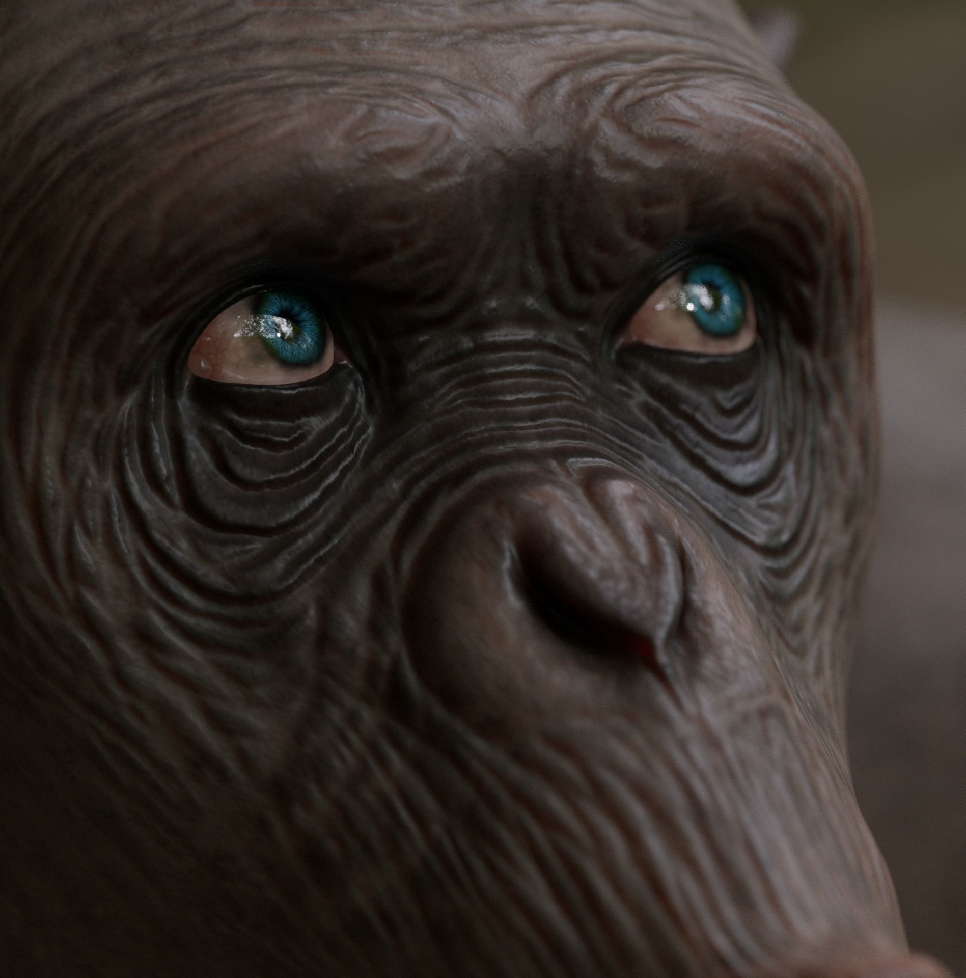Rigged Hairless Chimpanzee Low-poly 3D model Low-poly 3D model_14