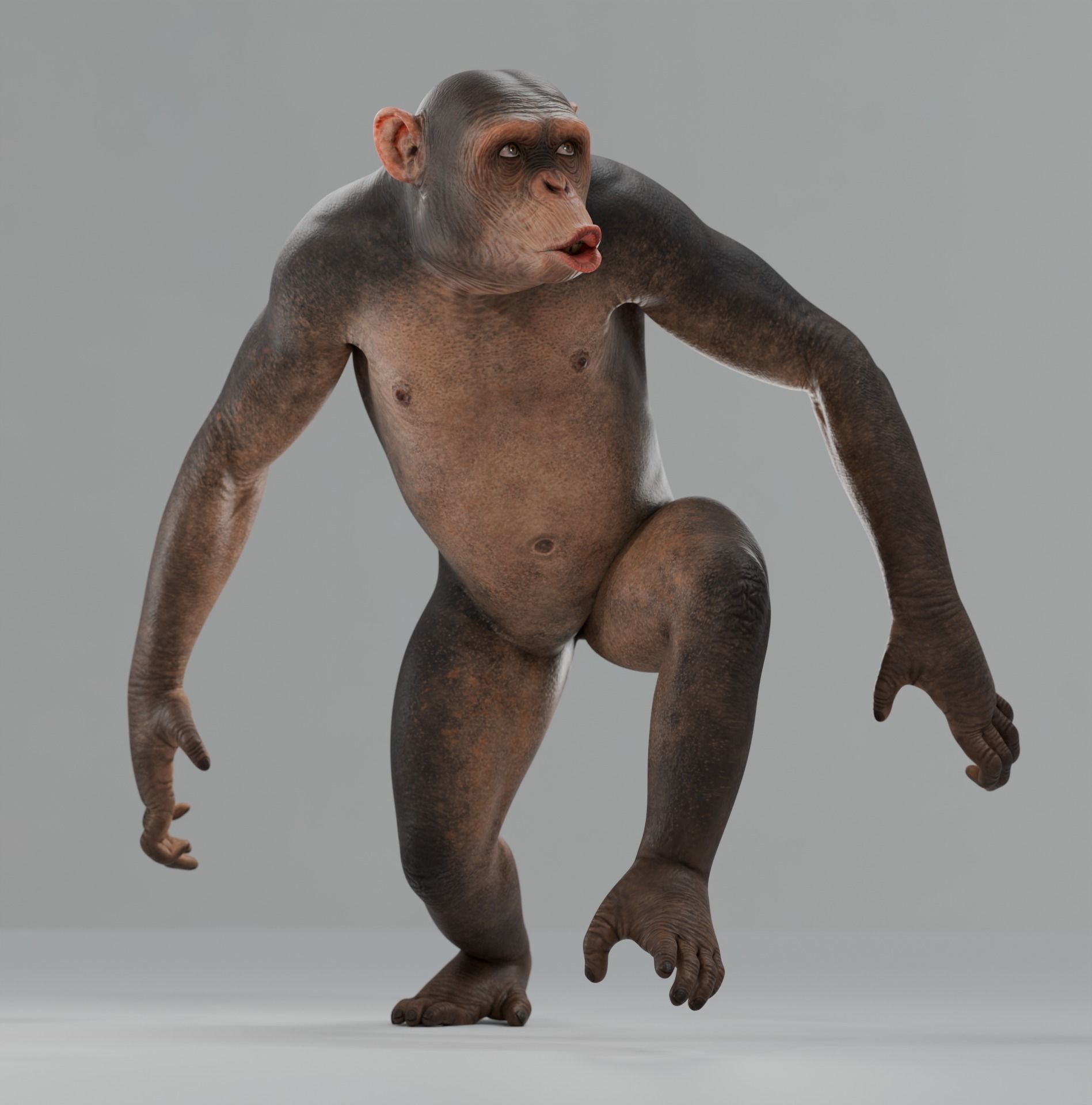 Rigged Hairless Chimpanzee Low-poly 3D model Low-poly 3D model_8