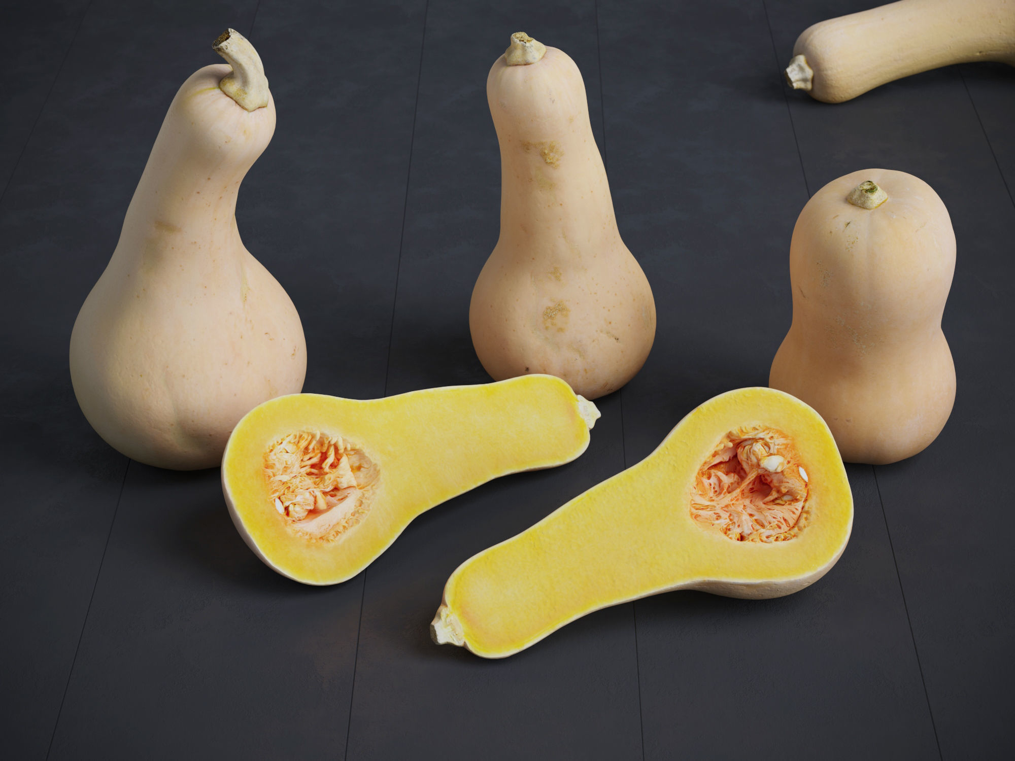 Butternut Squash 3D model_2
