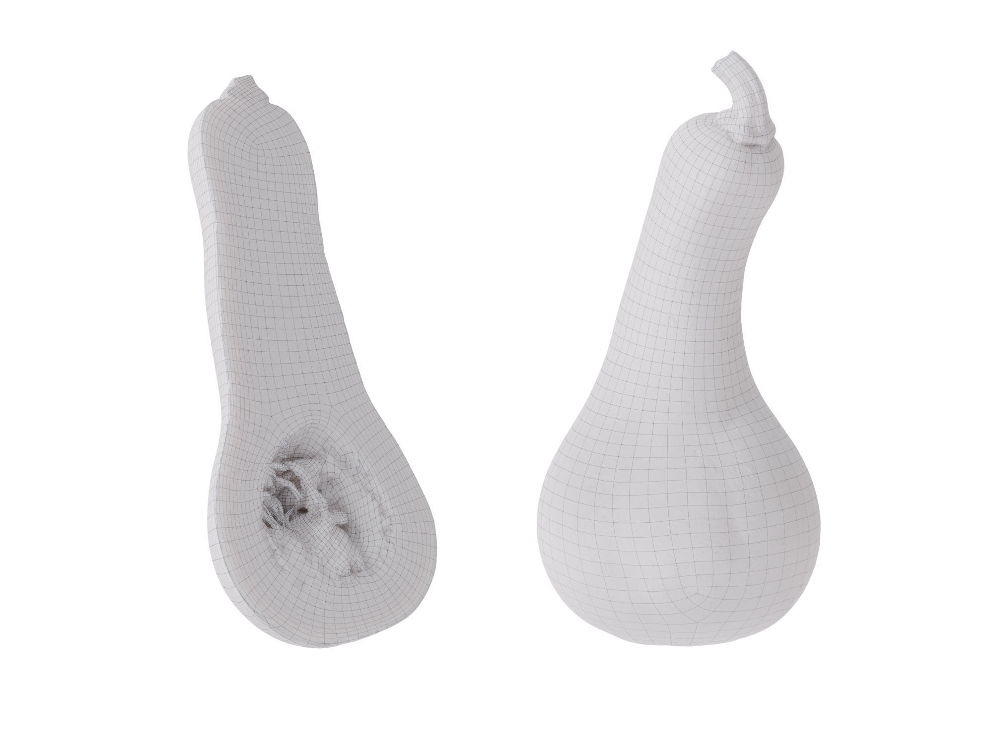 Butternut Squash 3D model_12