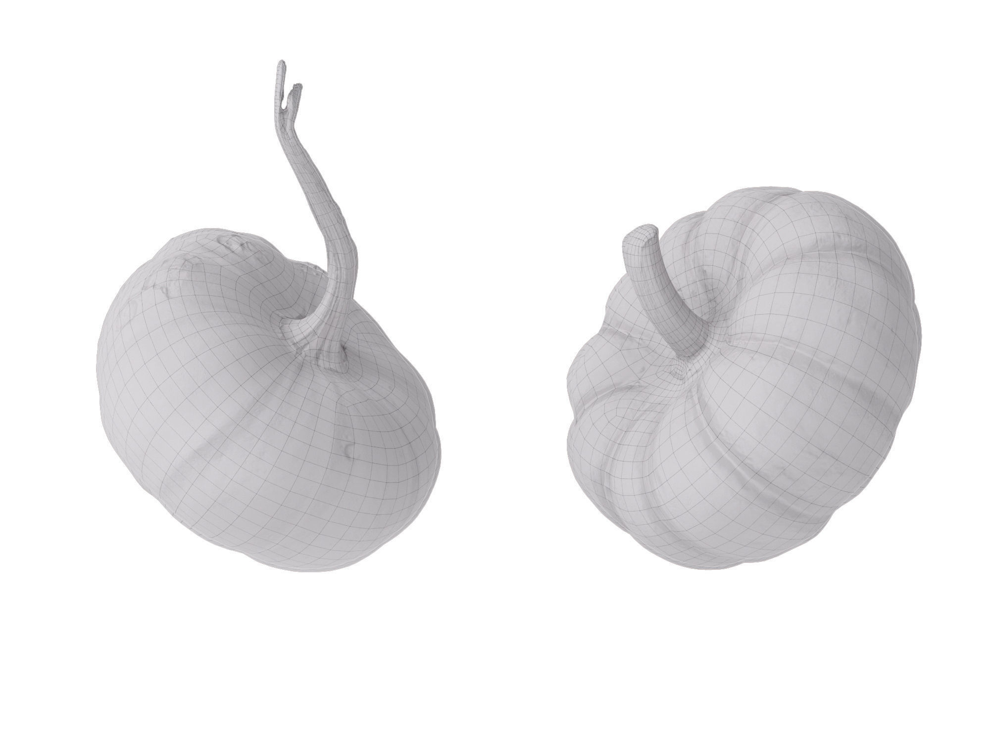 Pumpkins   3D model_10