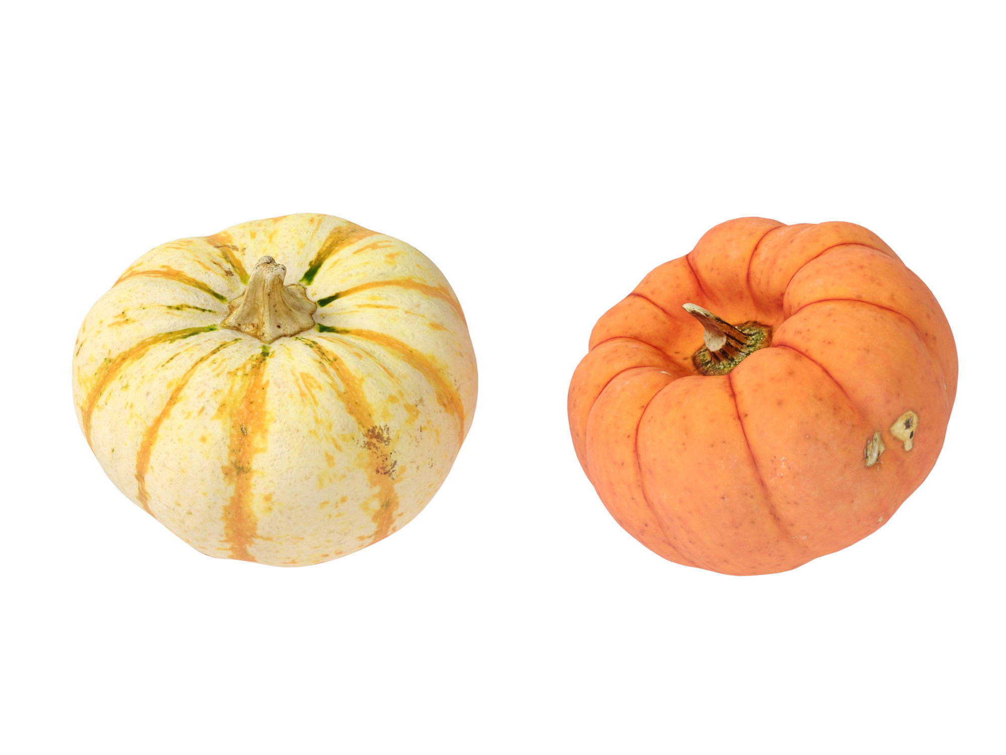 Pumpkins   3D model_7