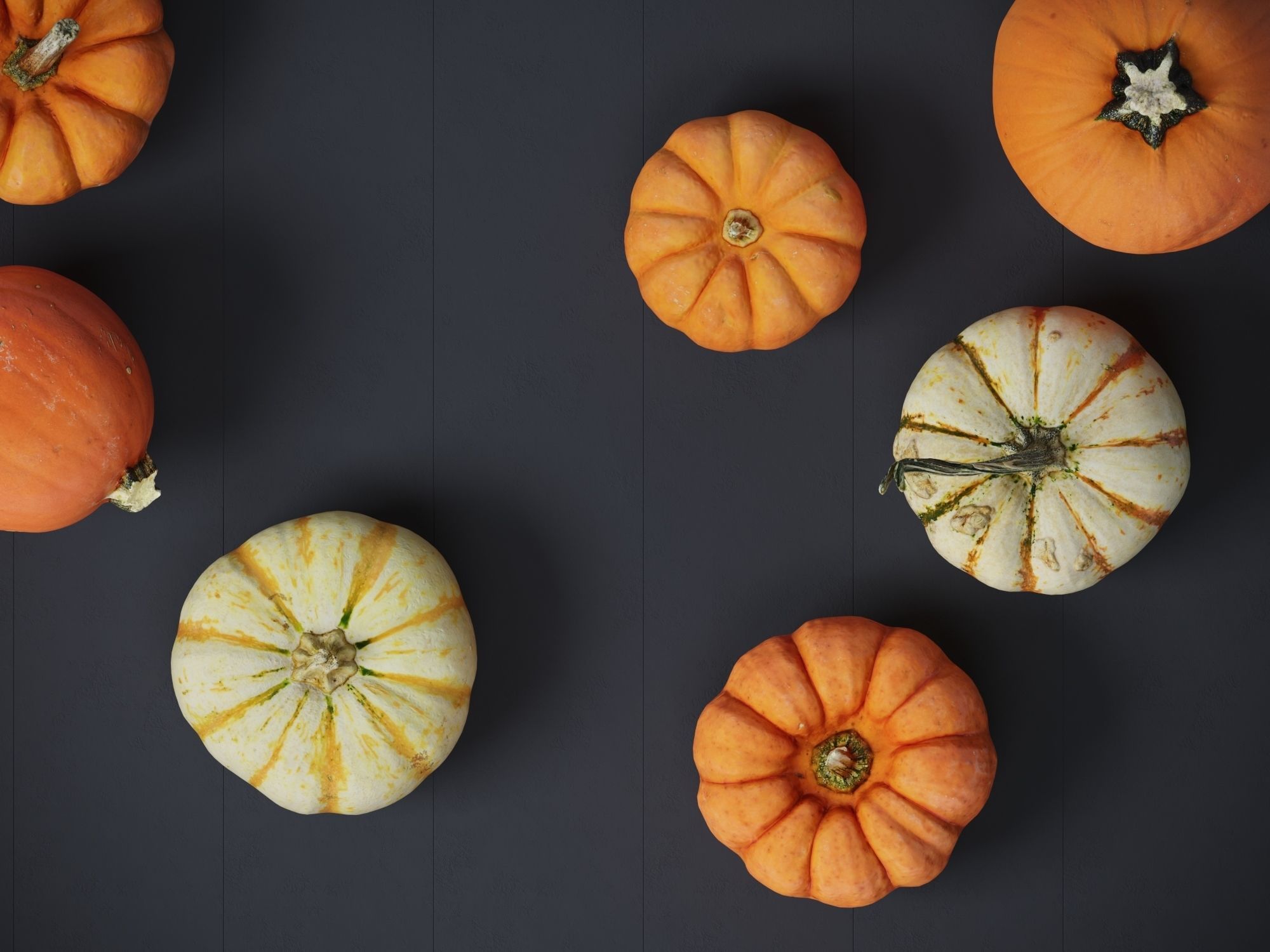 Pumpkins   3D model_3