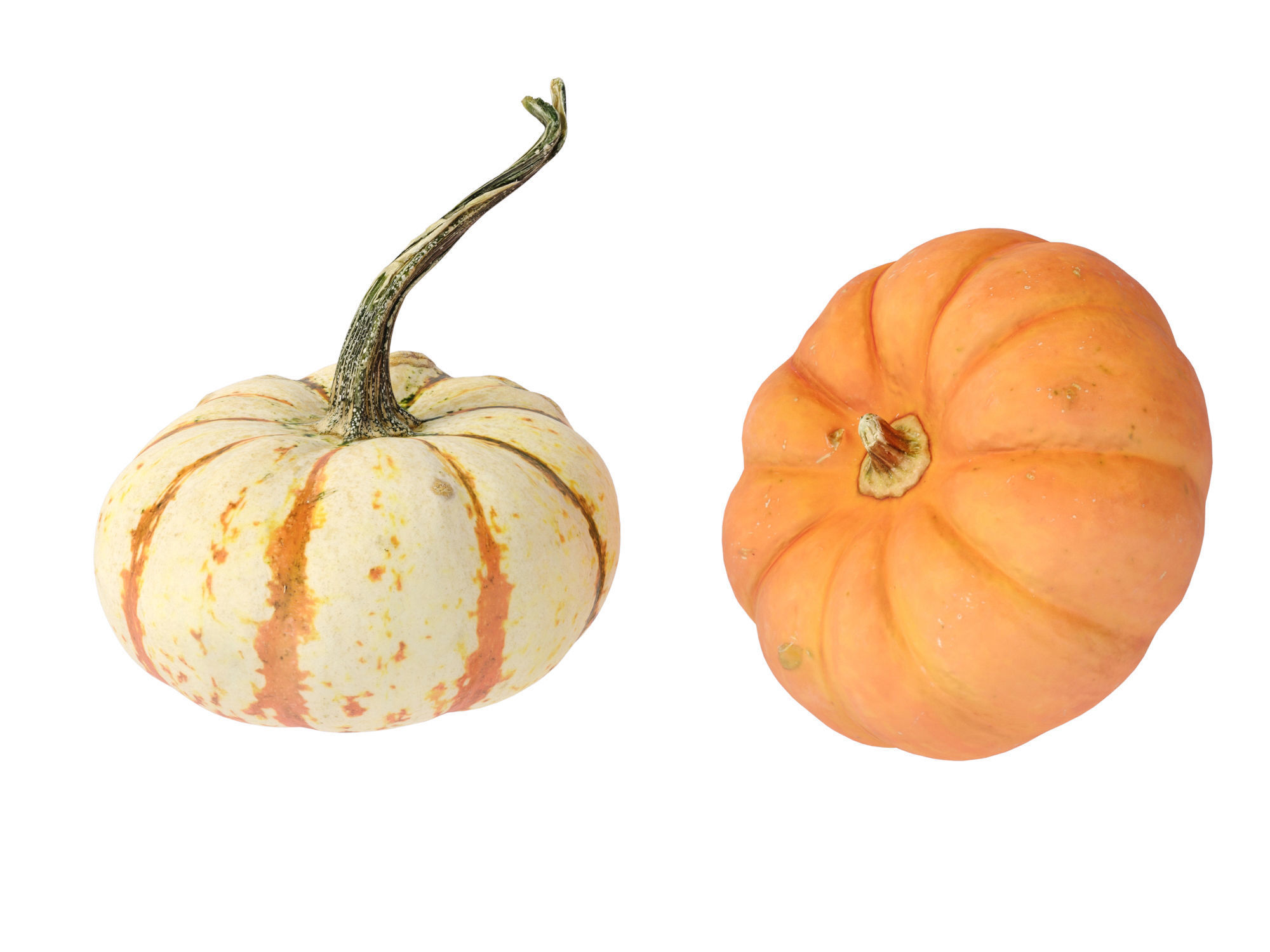 Pumpkins   3D model_6