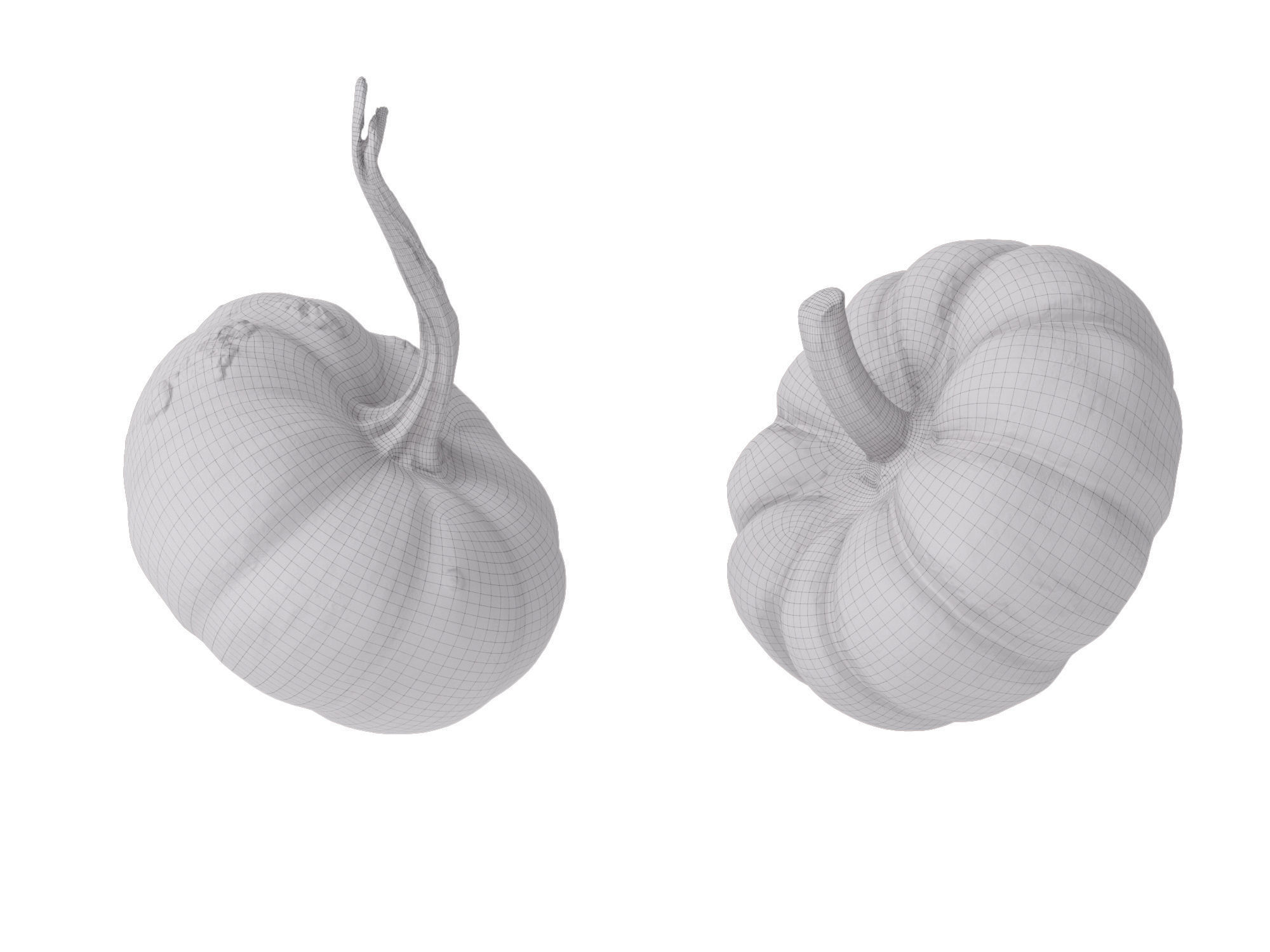 Pumpkins   3D model_11