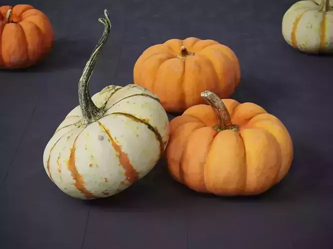 Pumpkins   3D model