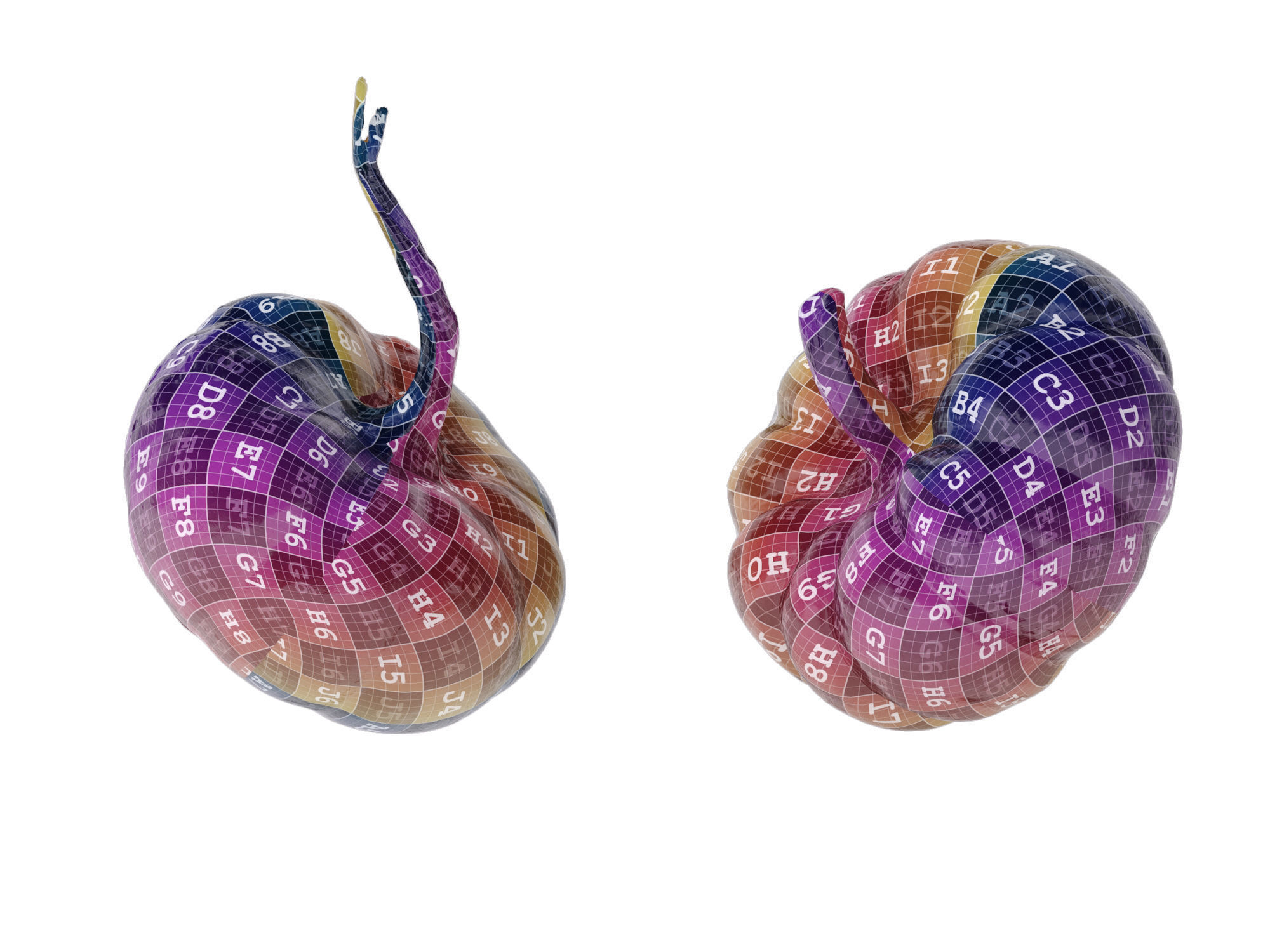 Pumpkins   3D model_12