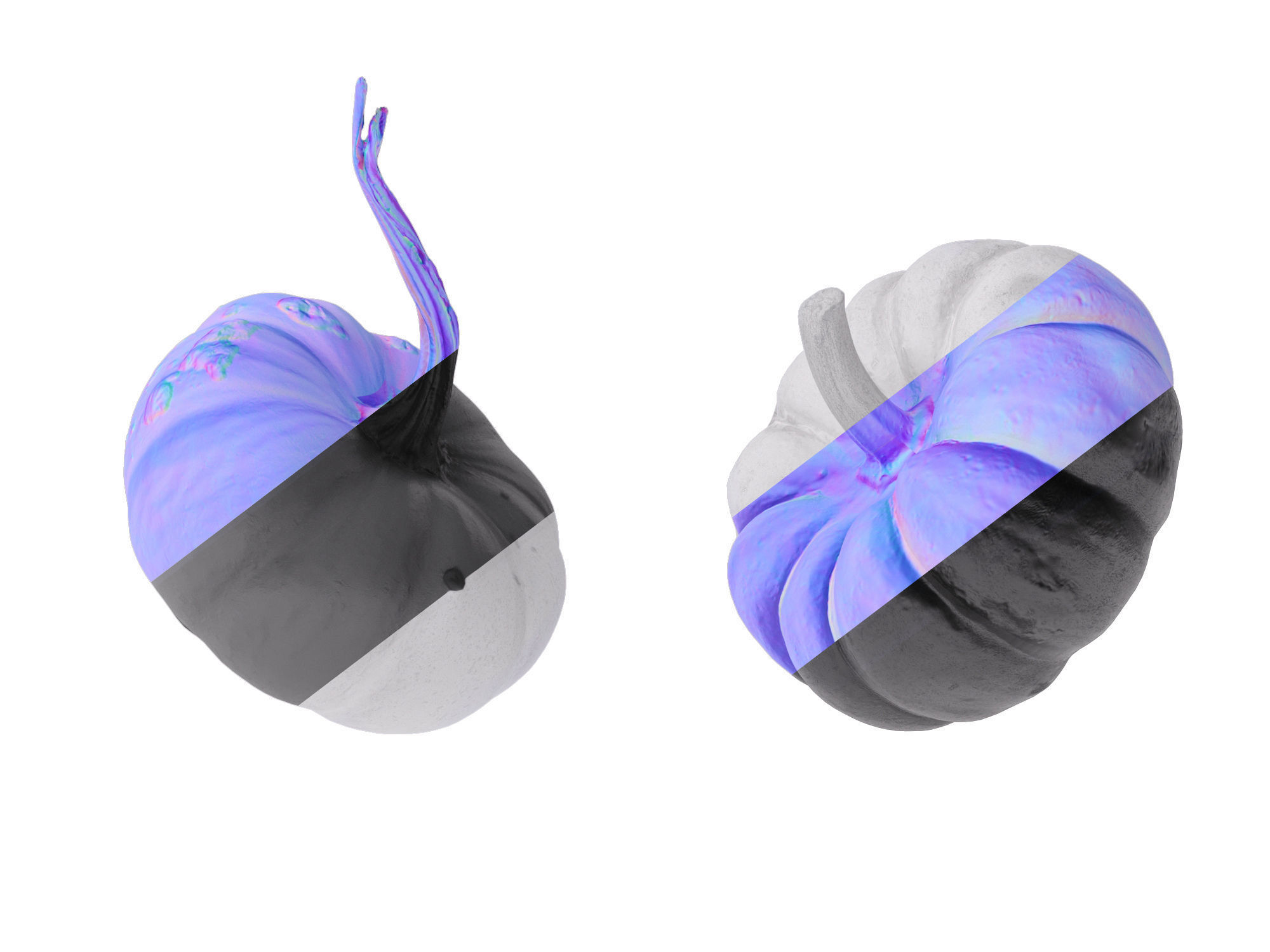 Pumpkins   3D model_13