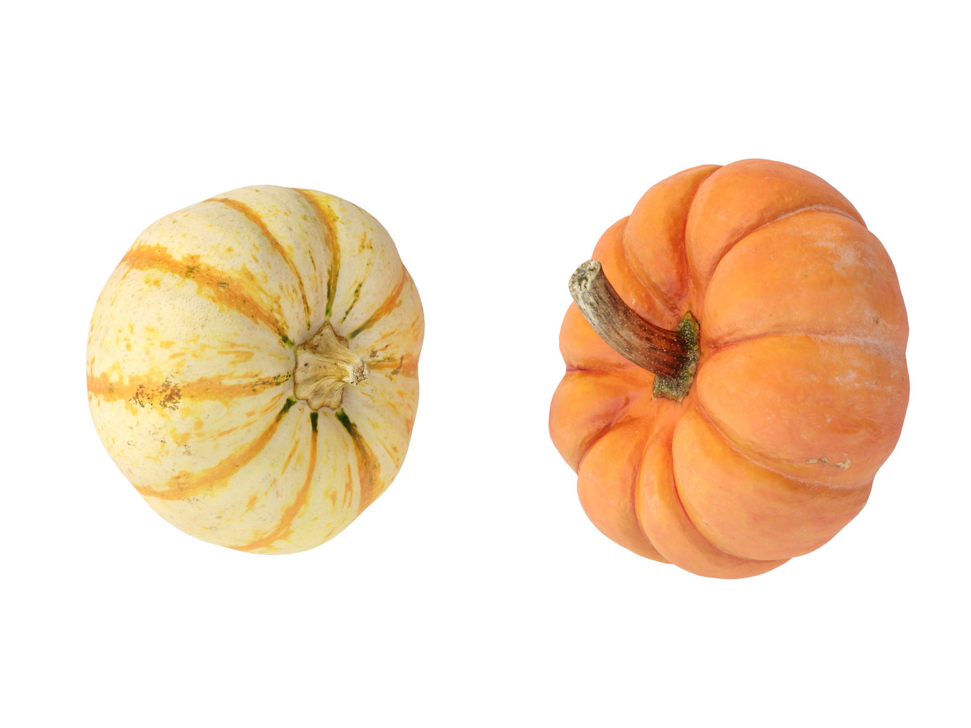 Pumpkins   3D model_5