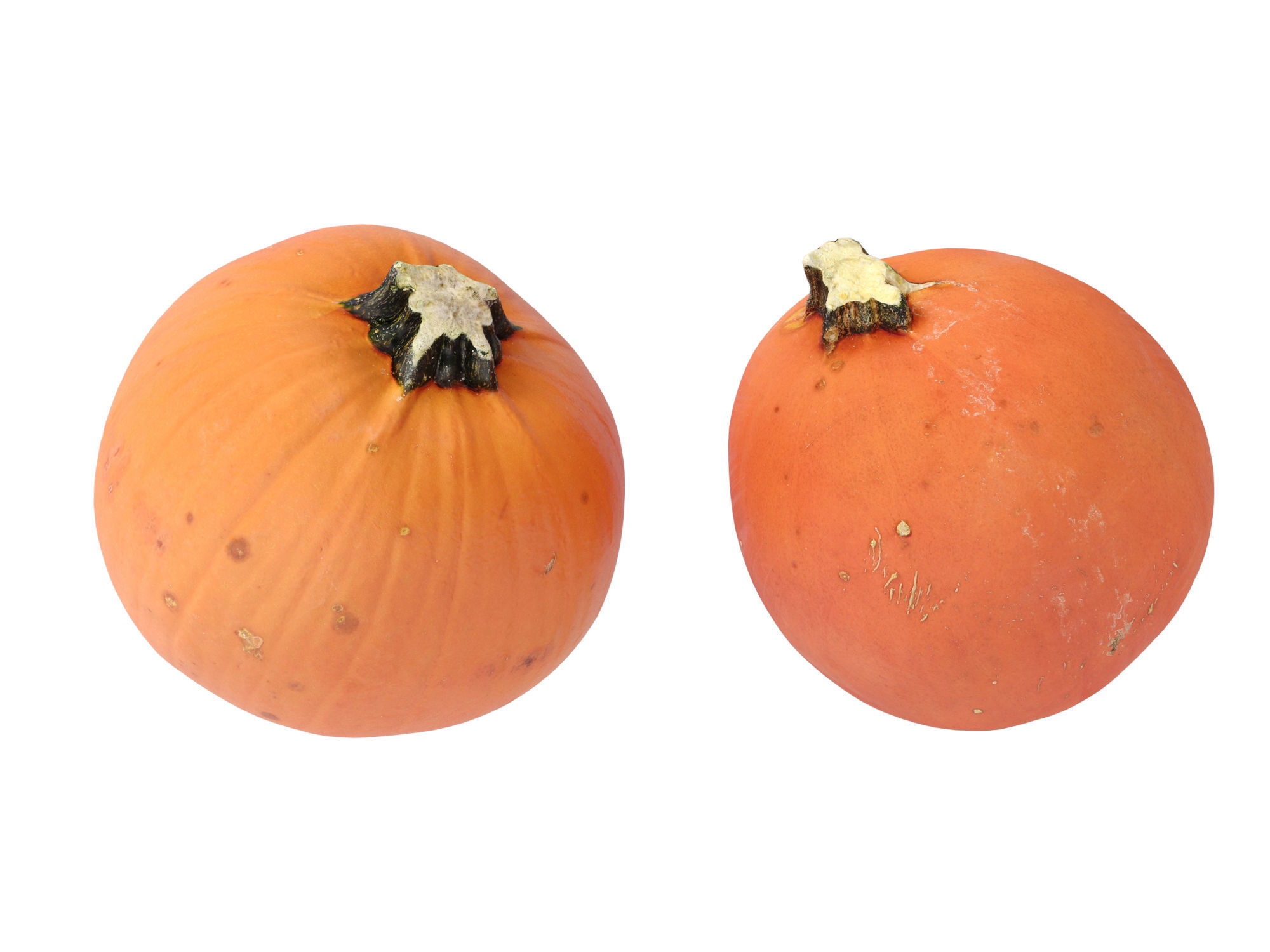 Pumpkins   3D model_8