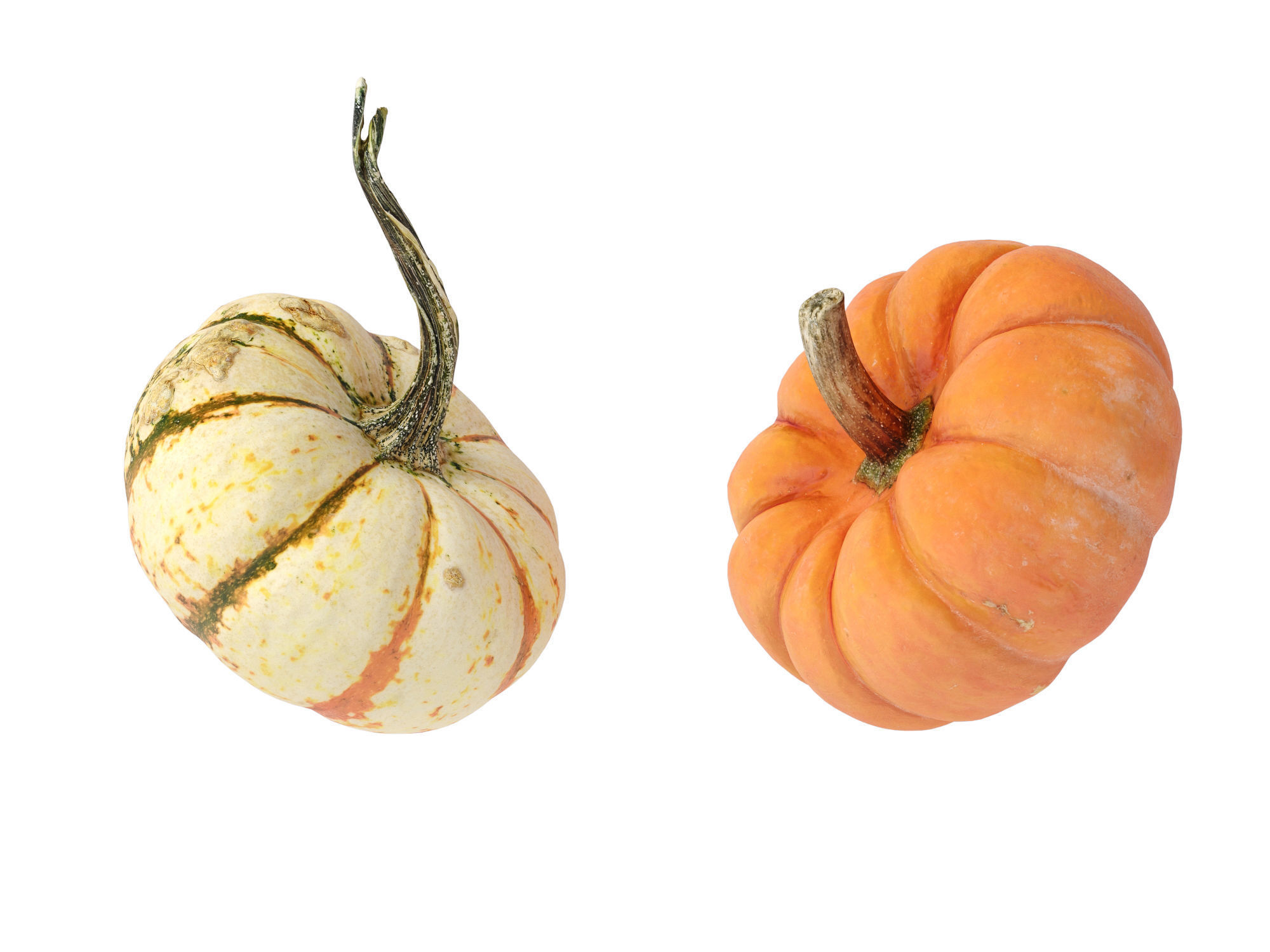 Pumpkins   3D model_9