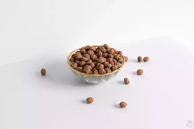 Tiger Nut 3D model
