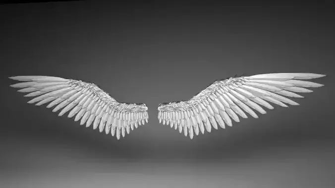 Angel Wings Version 2 3D model