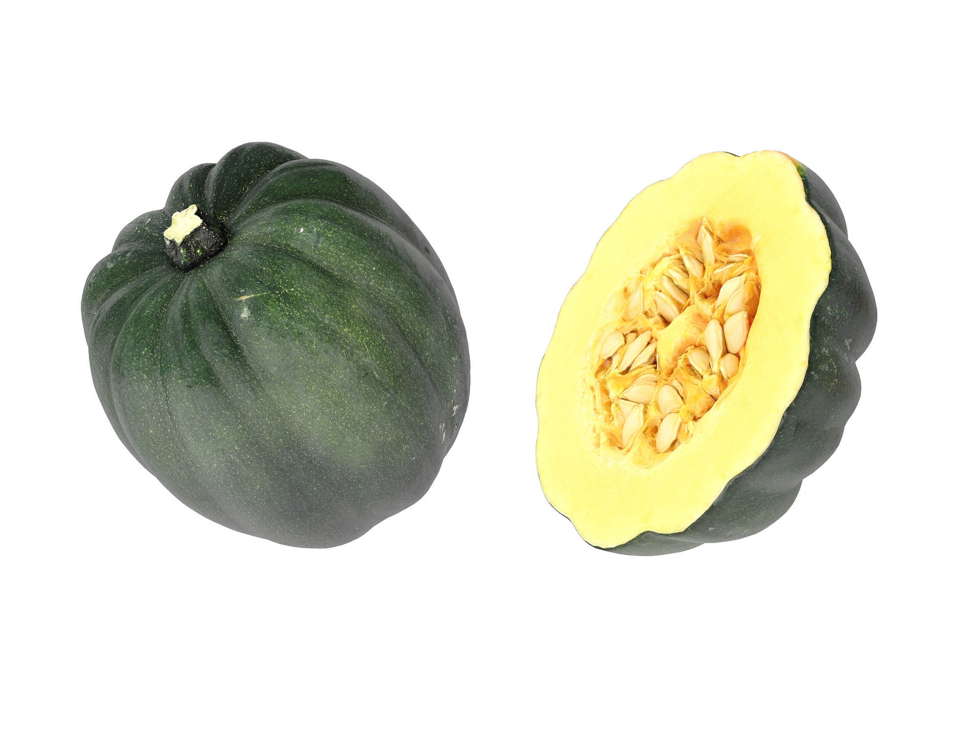Acorn Squash 3D model_9