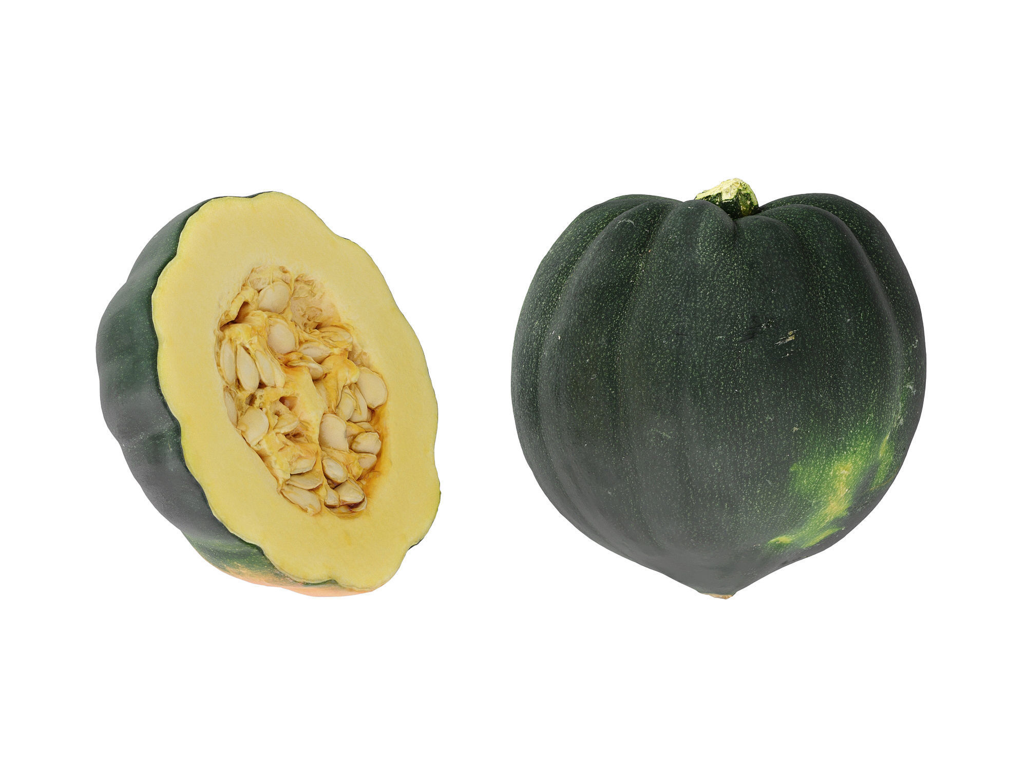 Acorn Squash 3D model_7
