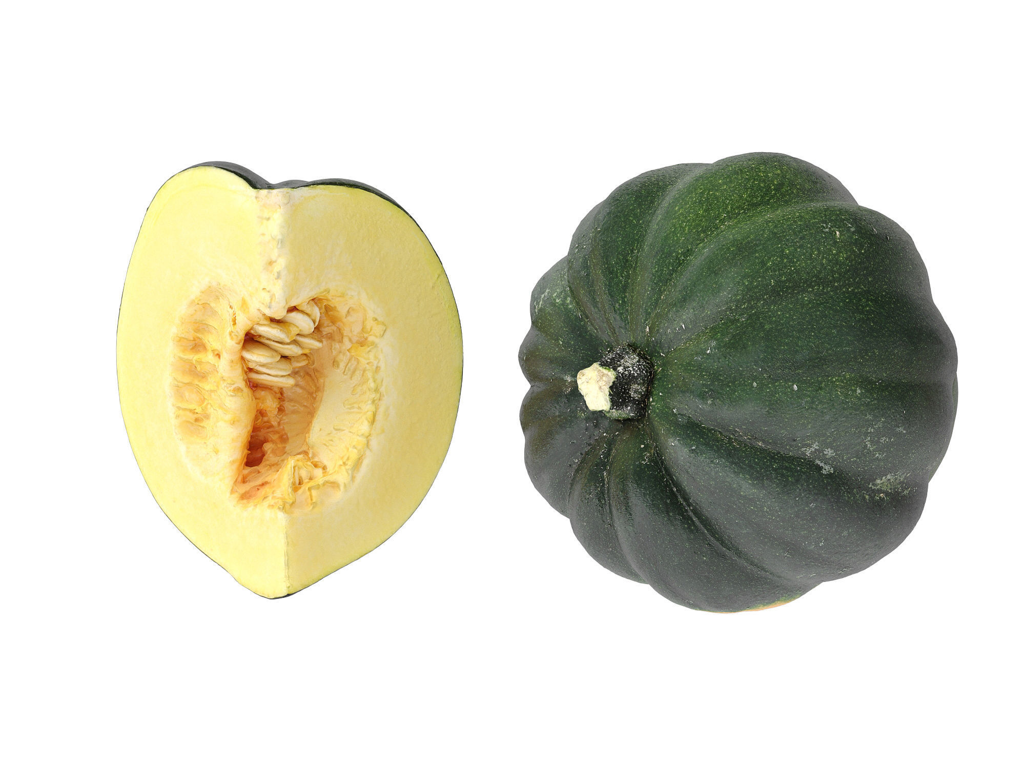 Acorn Squash 3D model_6