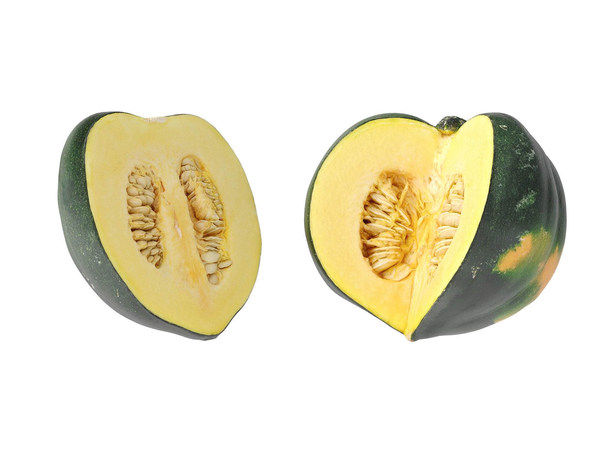 Acorn Squash 3D model_8