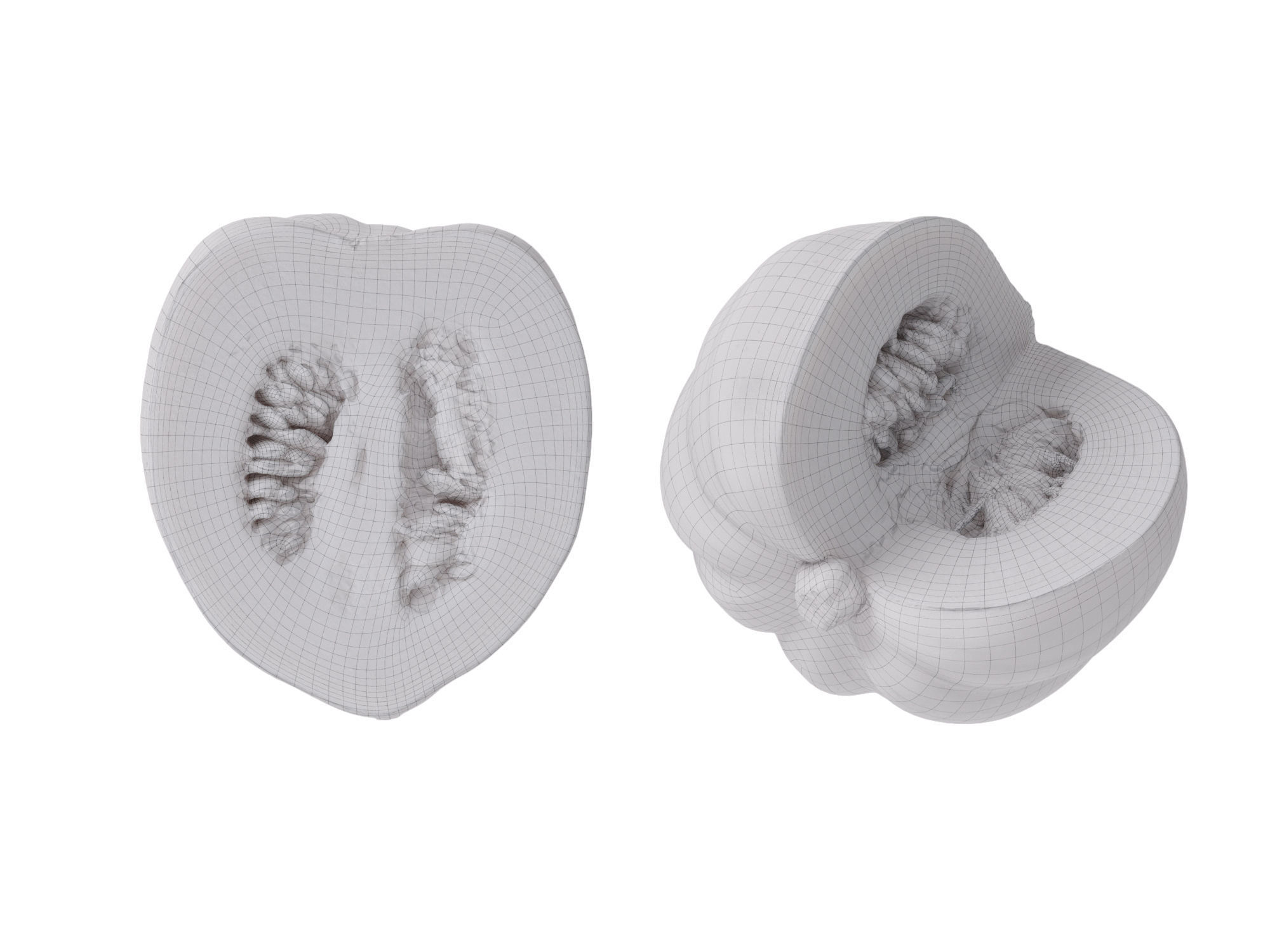 Acorn Squash 3D model_12