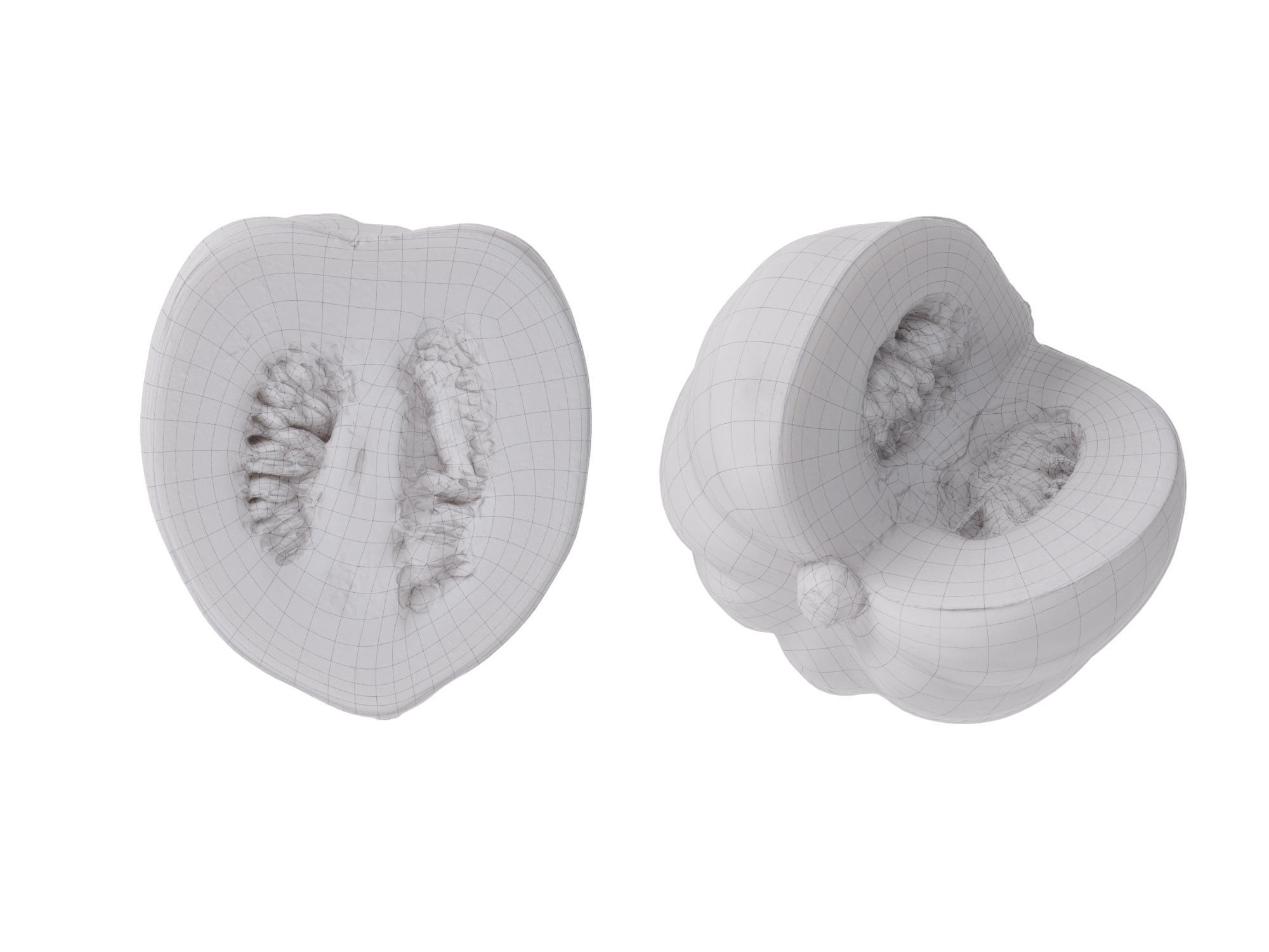 Acorn Squash 3D model_11