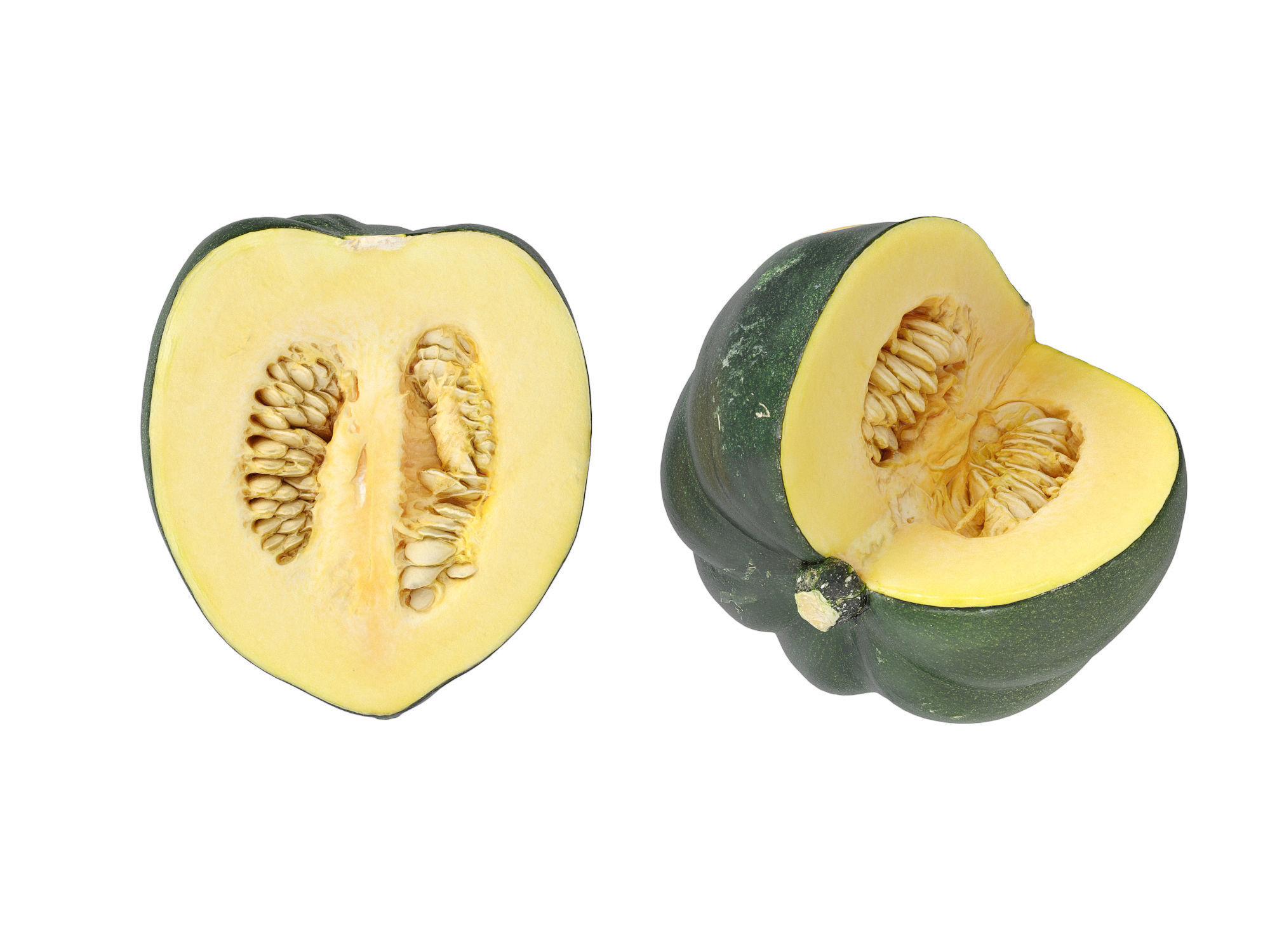 Acorn Squash 3D model_10