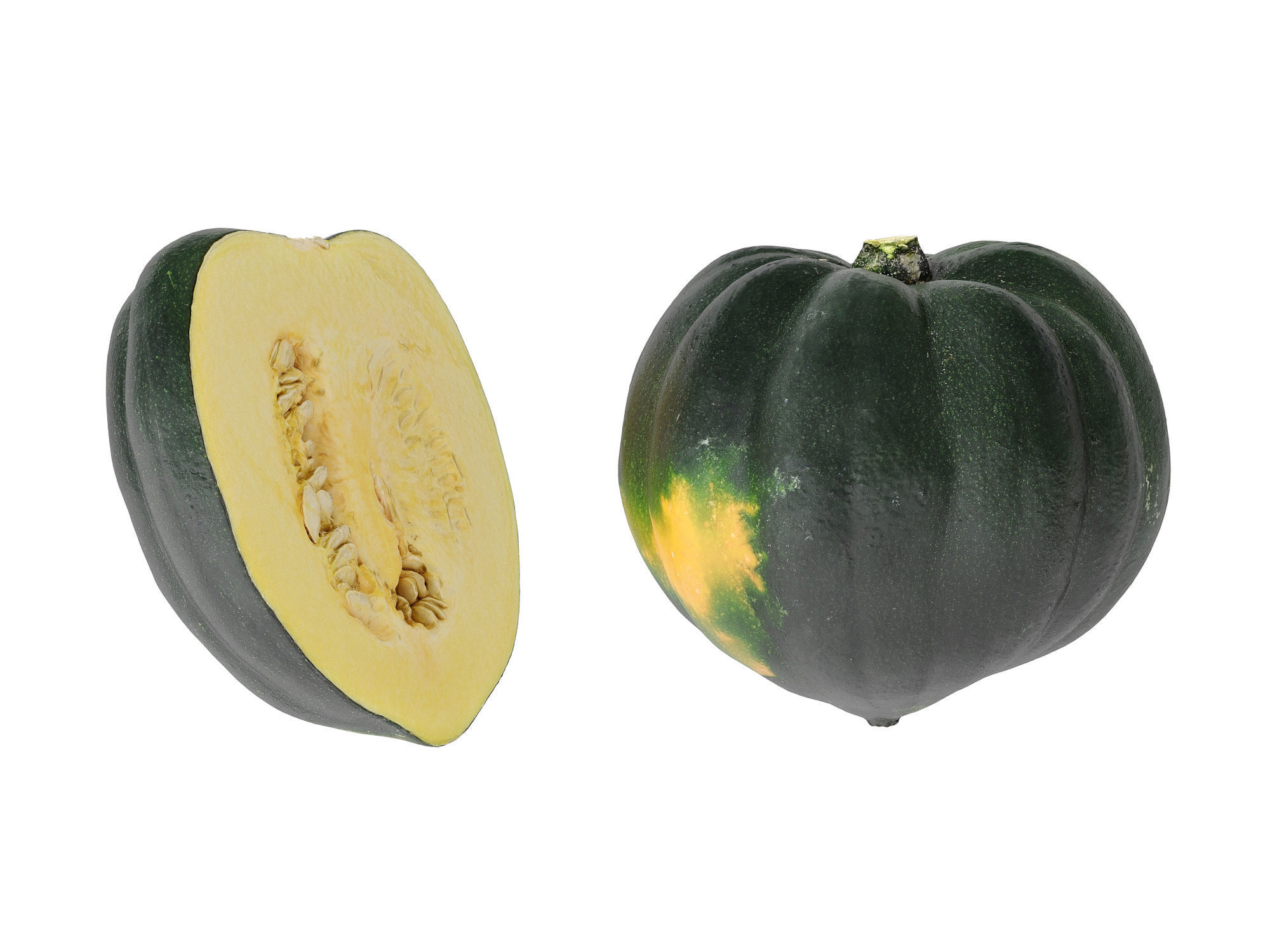 Acorn Squash 3D model_5