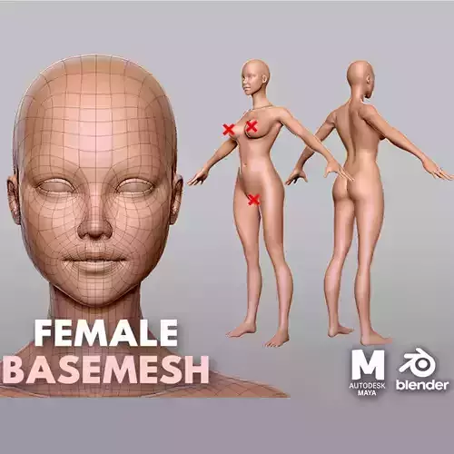 Female  BaseMesh Low-poly 3D model