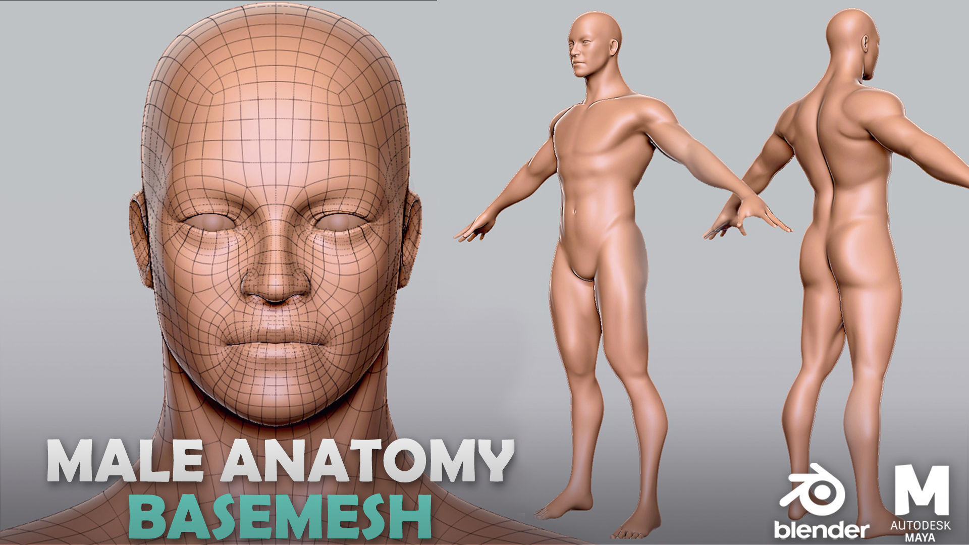 Male   BaseMesh Low-poly 3D model_1