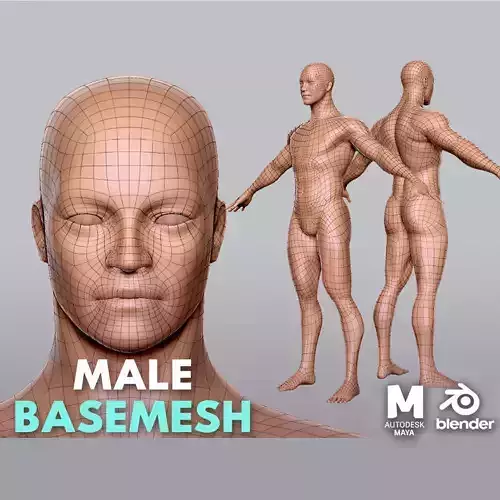 Male   BaseMesh Low-poly 3D model